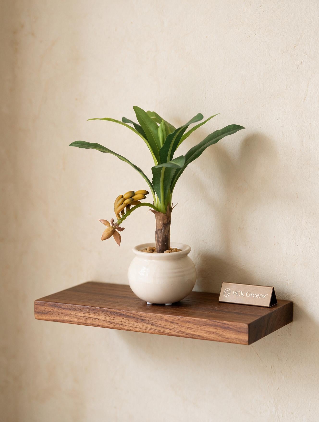 Artificial Banana Plant Bonsai 1ft