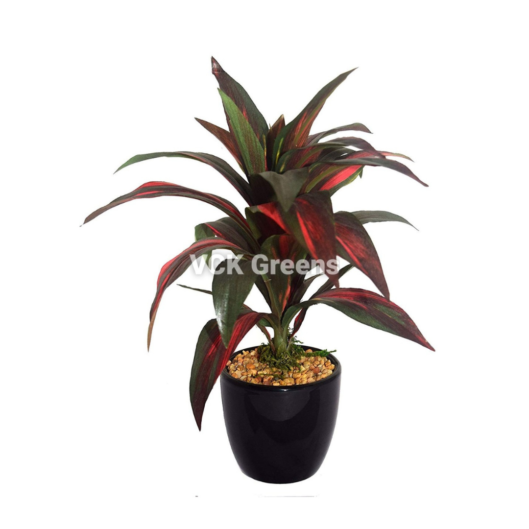 Artificial Dracaena Leaves Bonsai 24cm