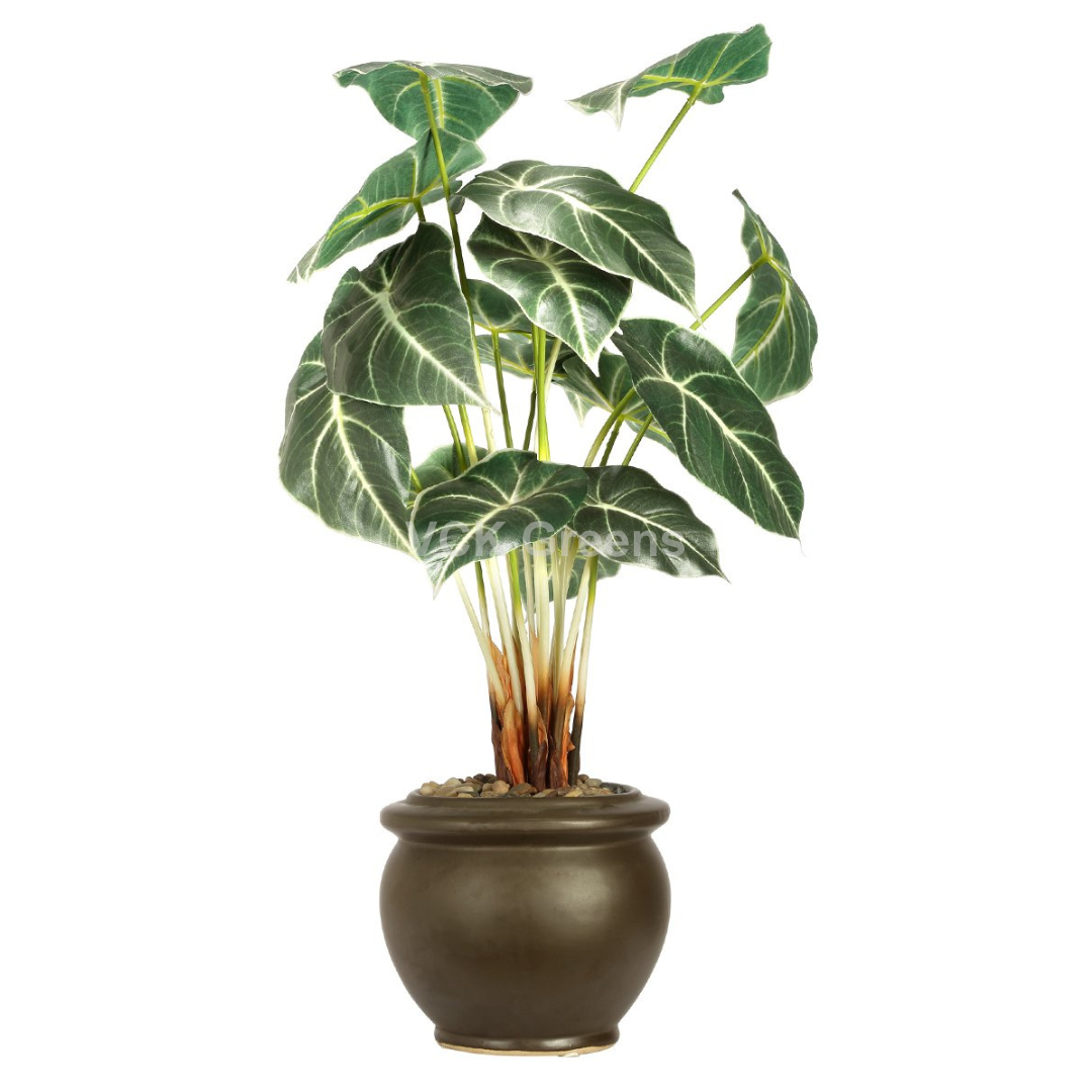 Artificial Alocasia Leaf Bonsai 2ft