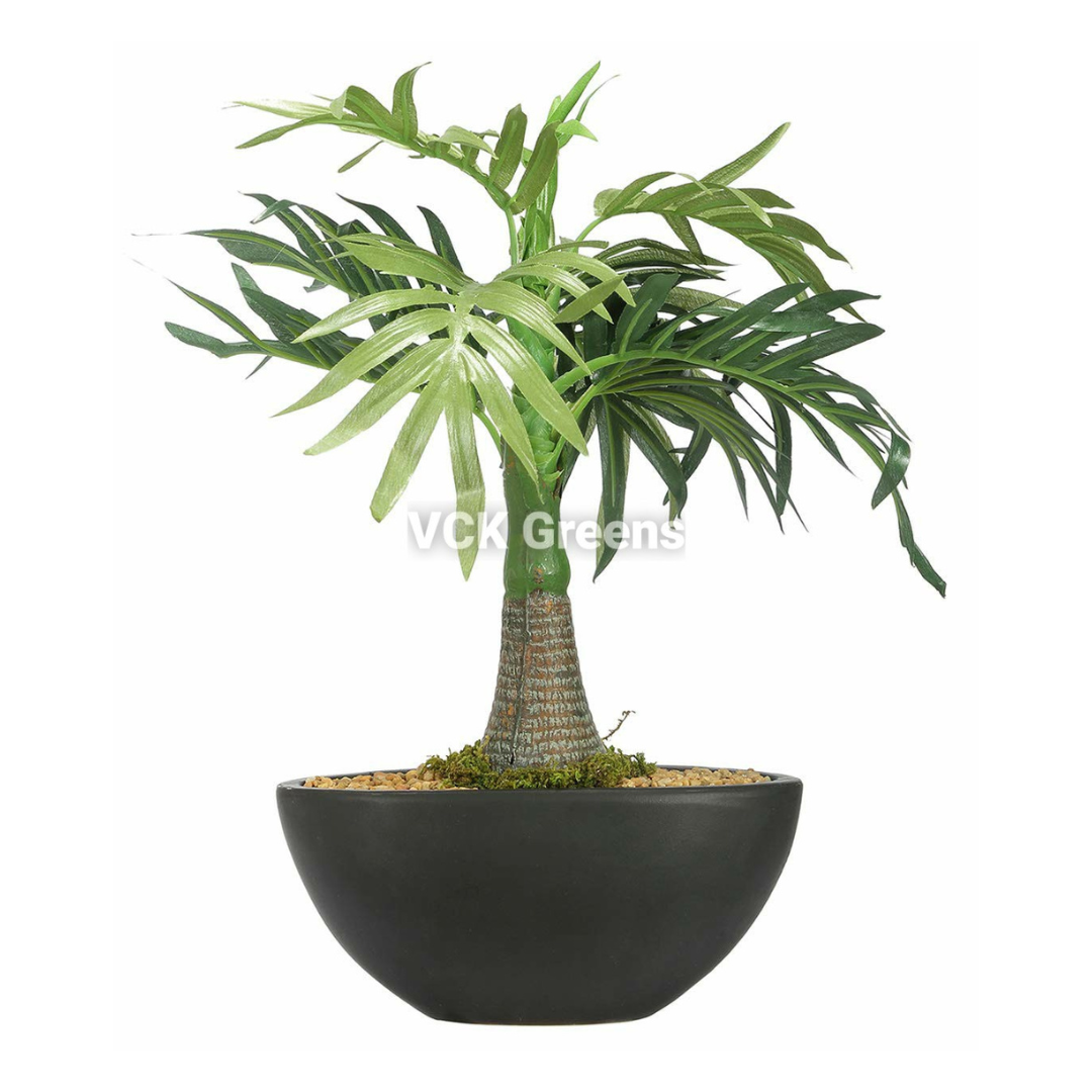 Artificial Palm Leaf Bonsai 1ft