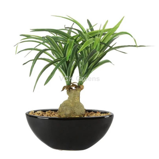 Artificial Nolina Leaves Bonsai 1ft