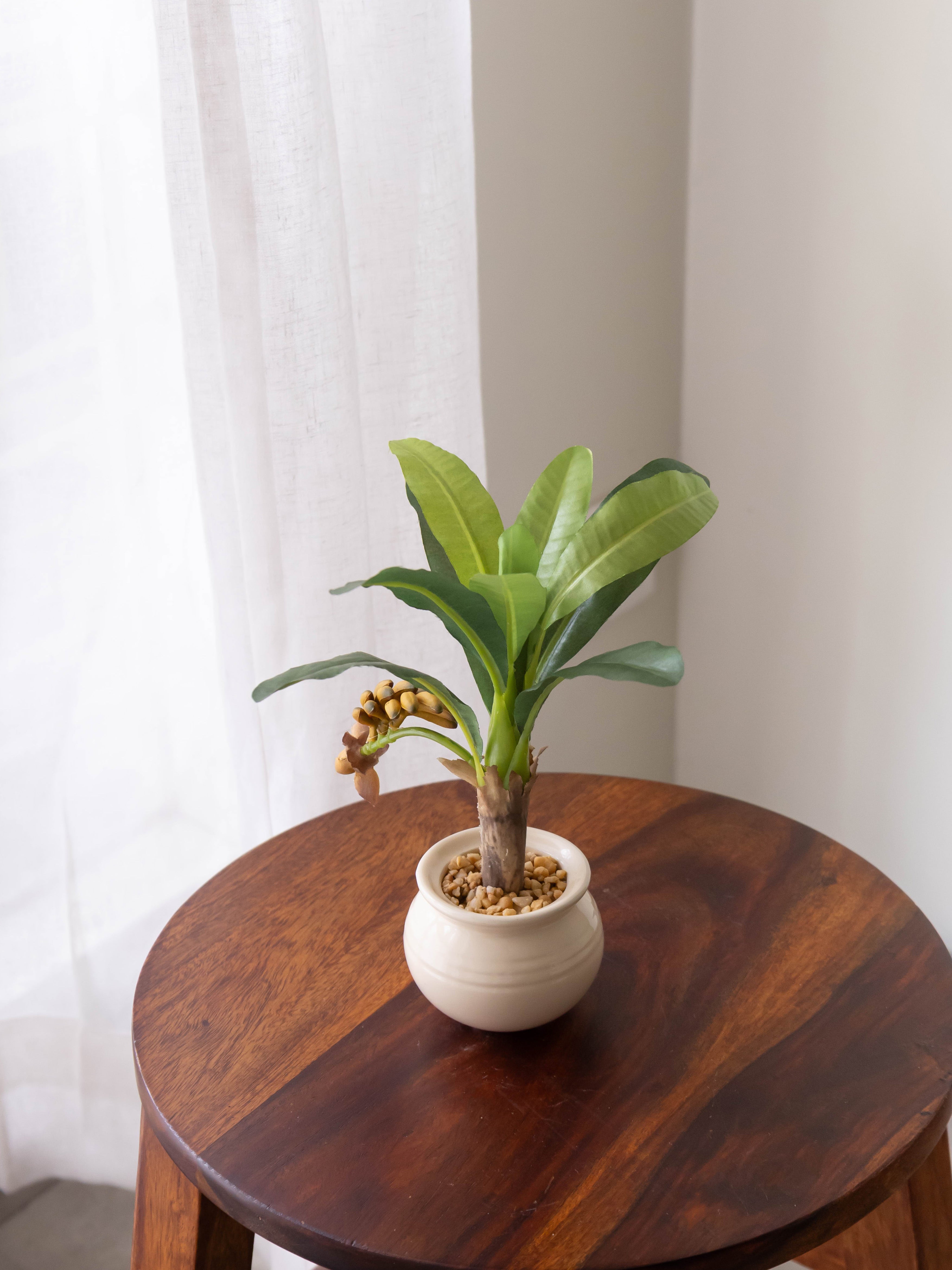 Artificial Banana Plant Bonsai 1ft