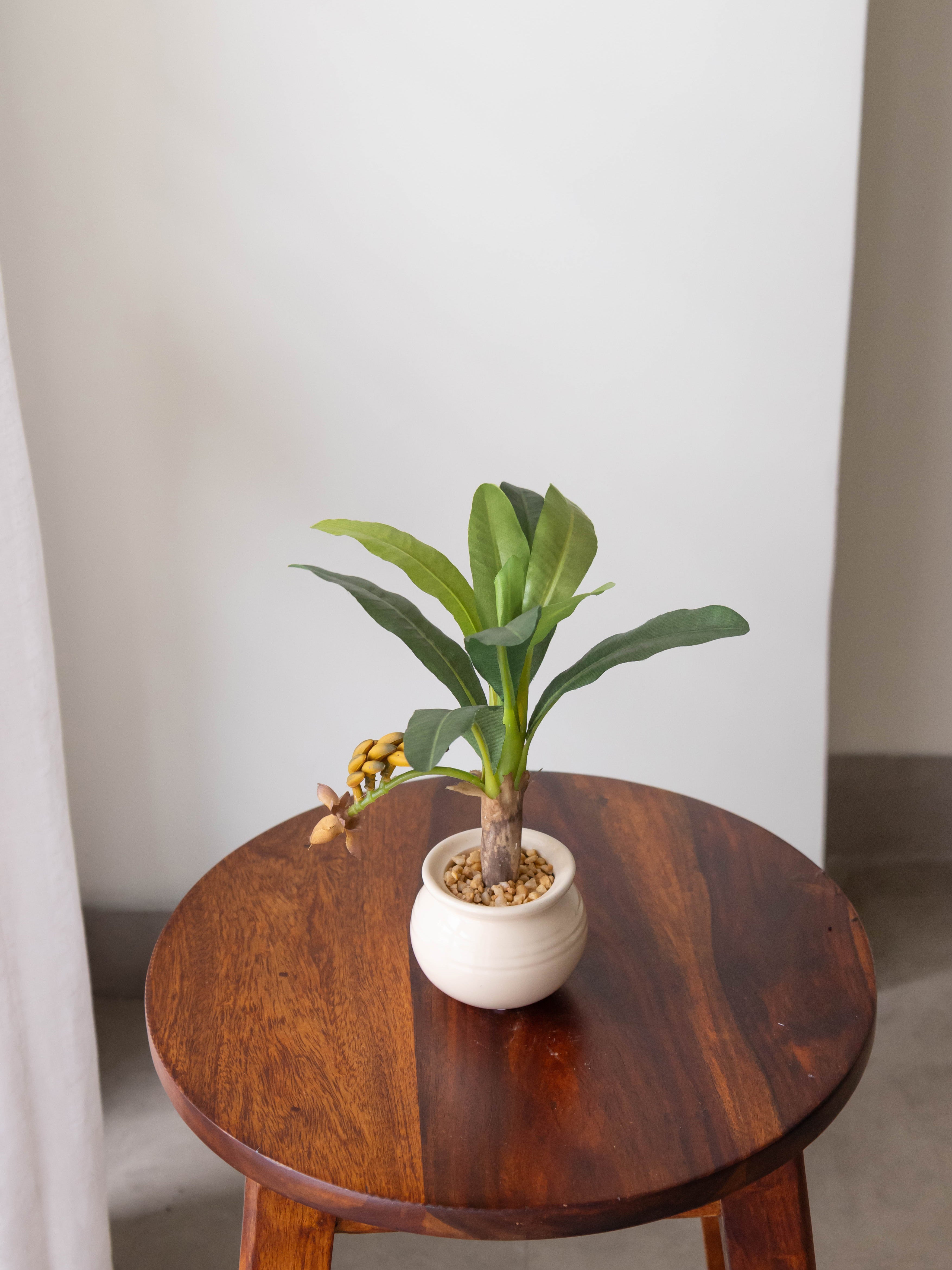 Artificial Banana Plant Bonsai 1ft