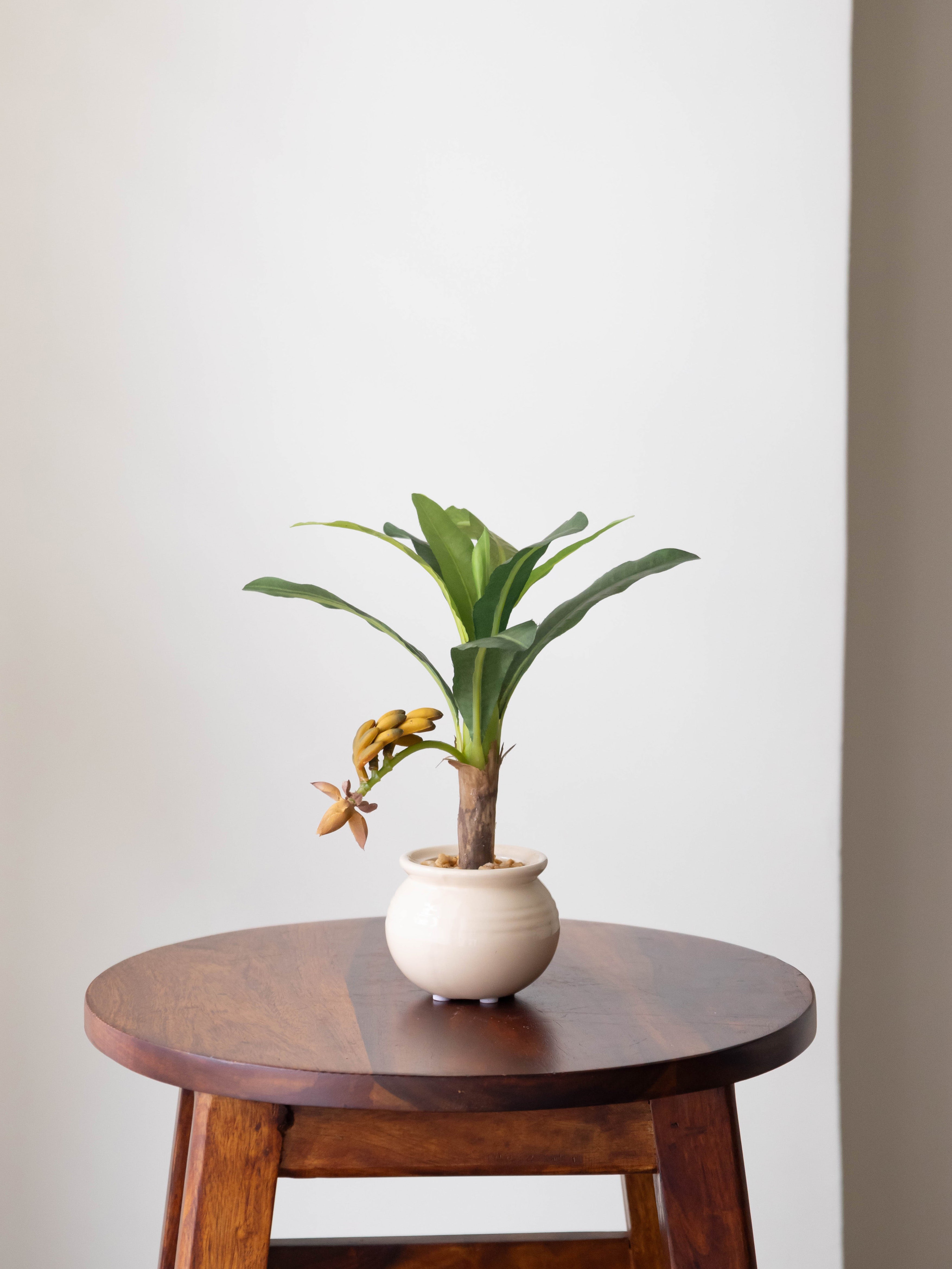 Artificial Banana Plant Bonsai 1ft