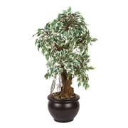 Artificial Ficus Leaves Bonsai 2 feet