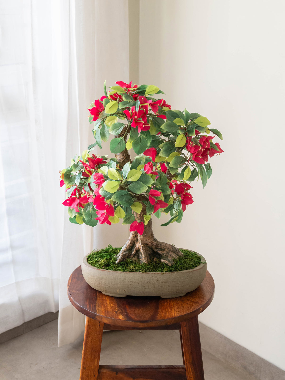 Artificial Bougainvillea Bonsai 1.6ft