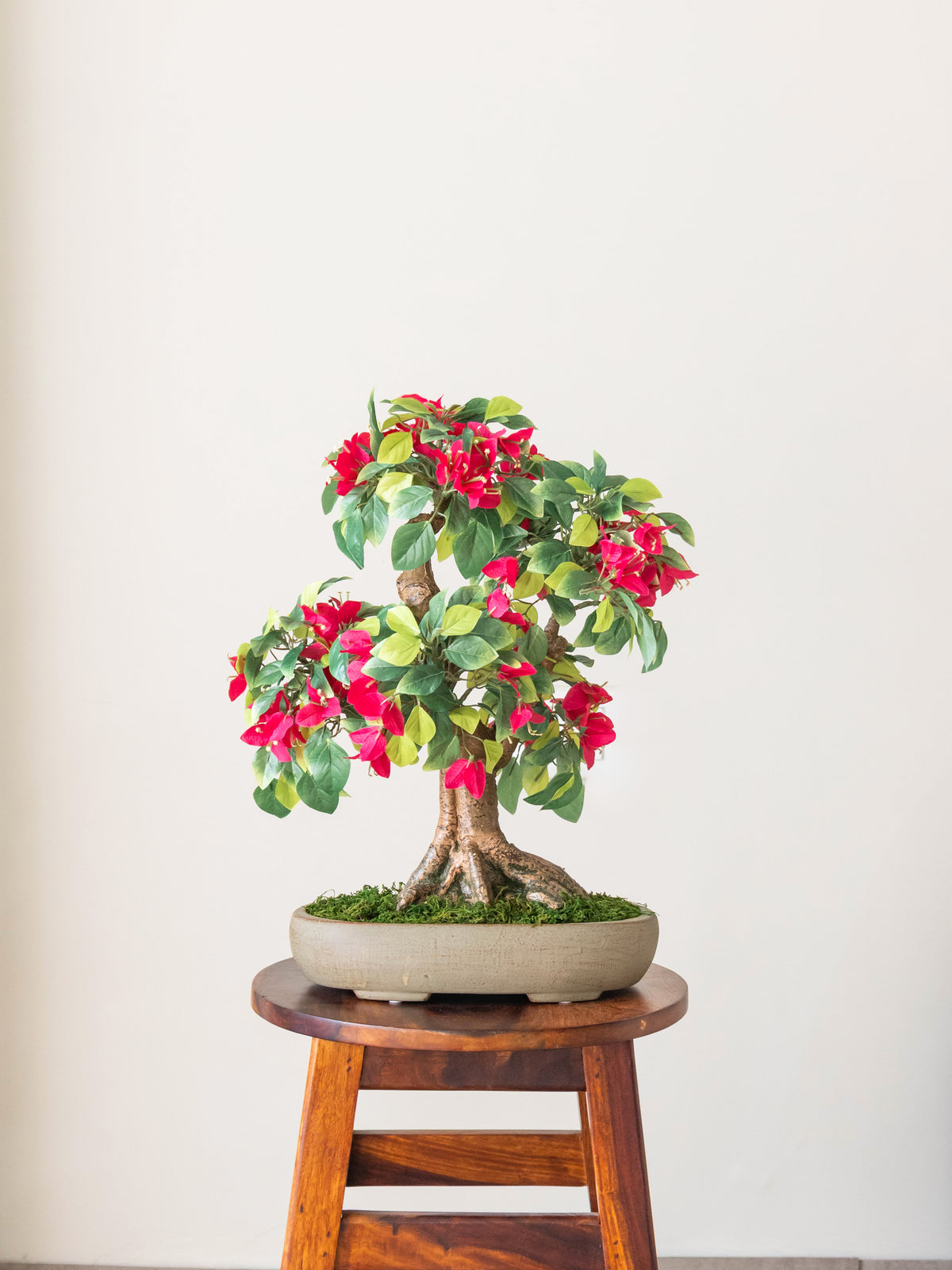 Artificial Bougainvillea Bonsai 1.6ft