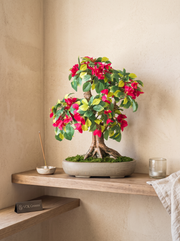 Artificial Bougainvillea Bonsai 1.6ft
