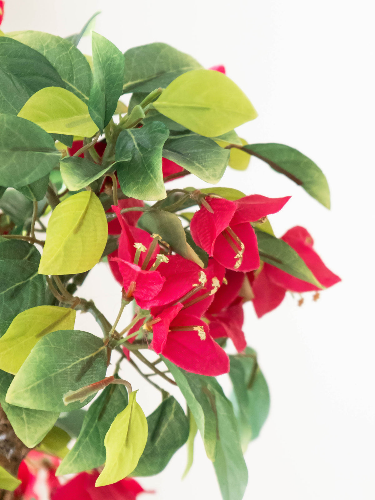 Artificial Bougainvillea Bonsai 1.6ft