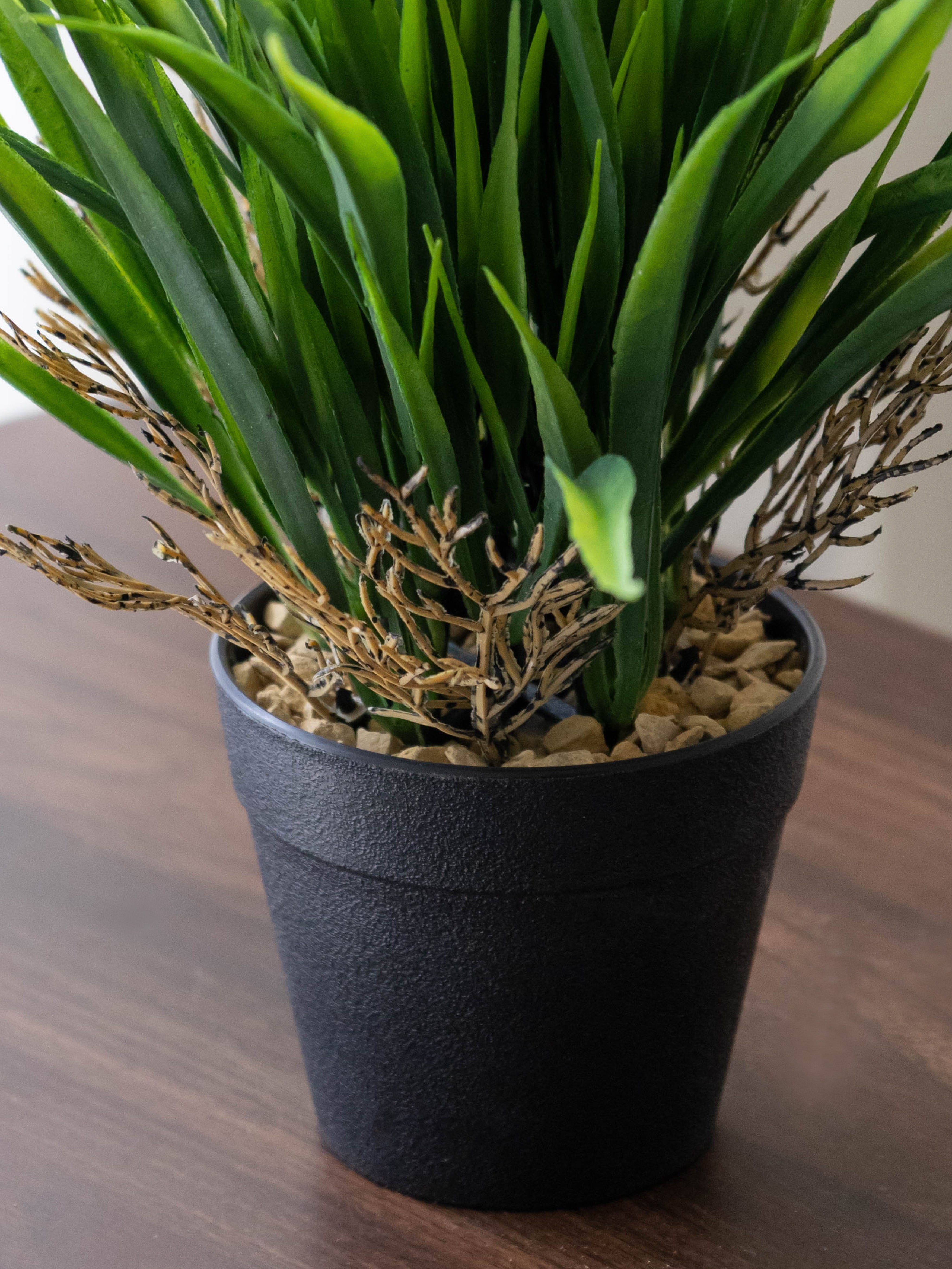 Artificial Meadow Grass Desk Planter