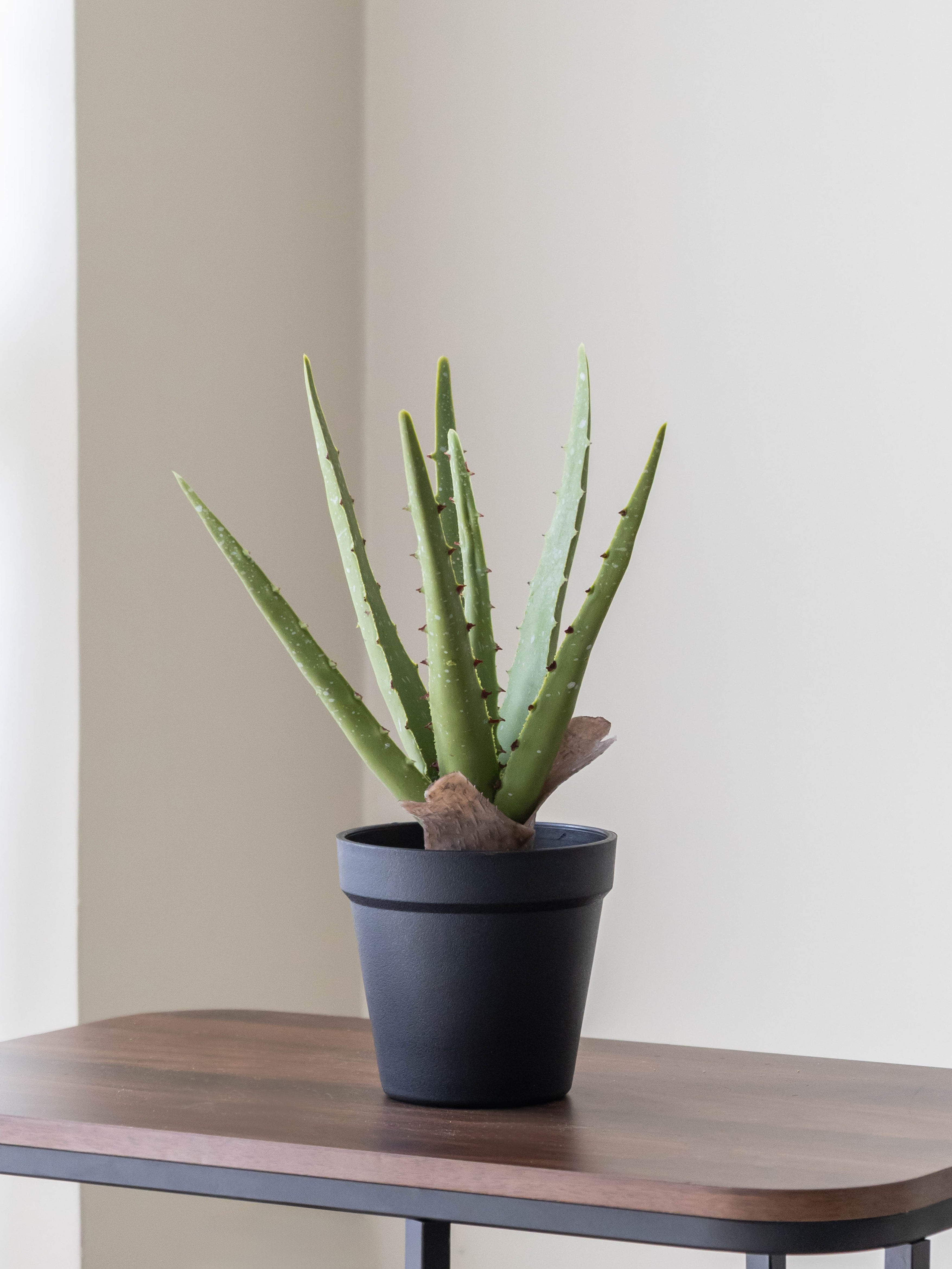 Artificial Aloe Vera Tabletop Planter