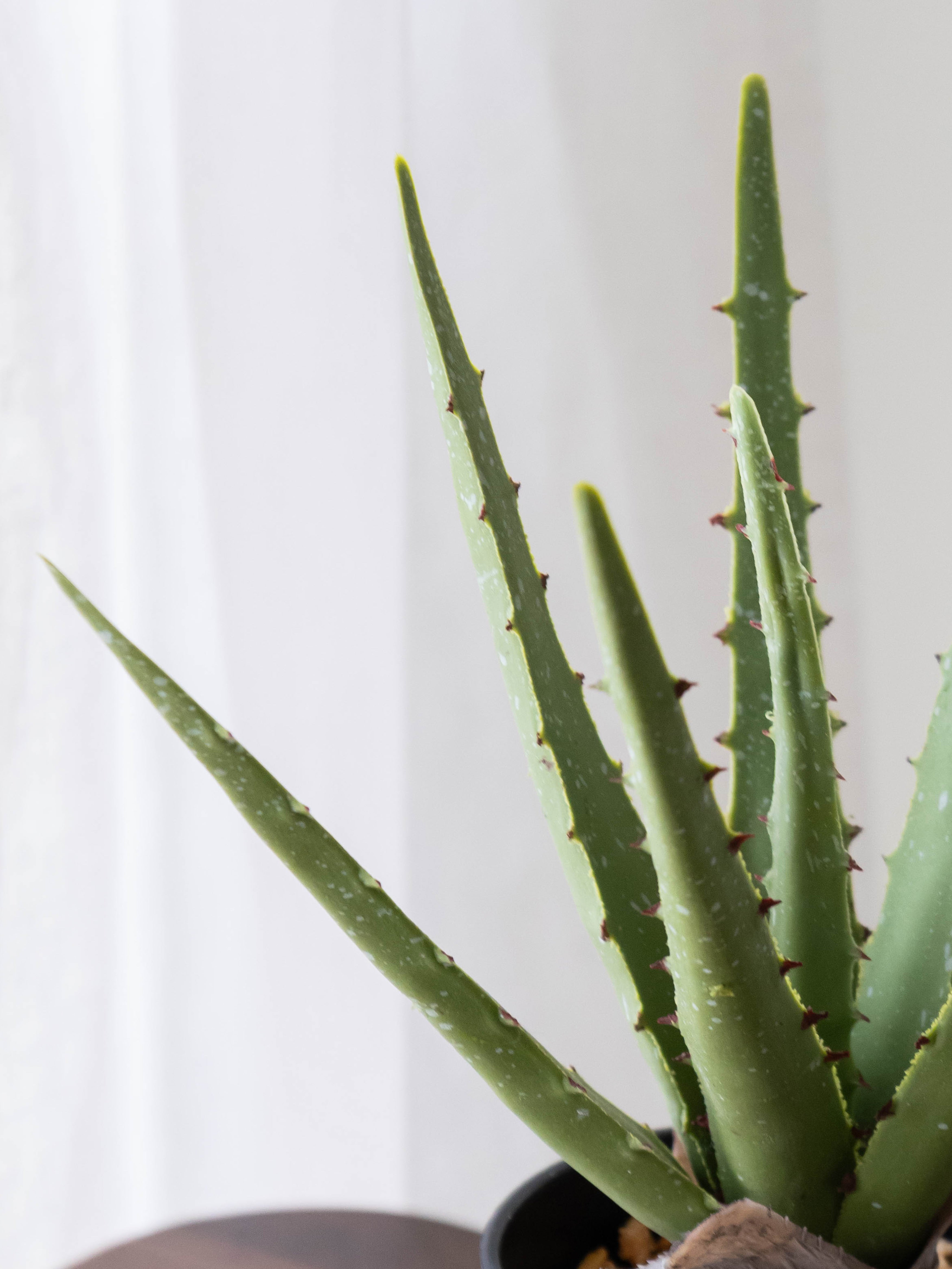 Artificial Aloe Vera Tabletop Planter
