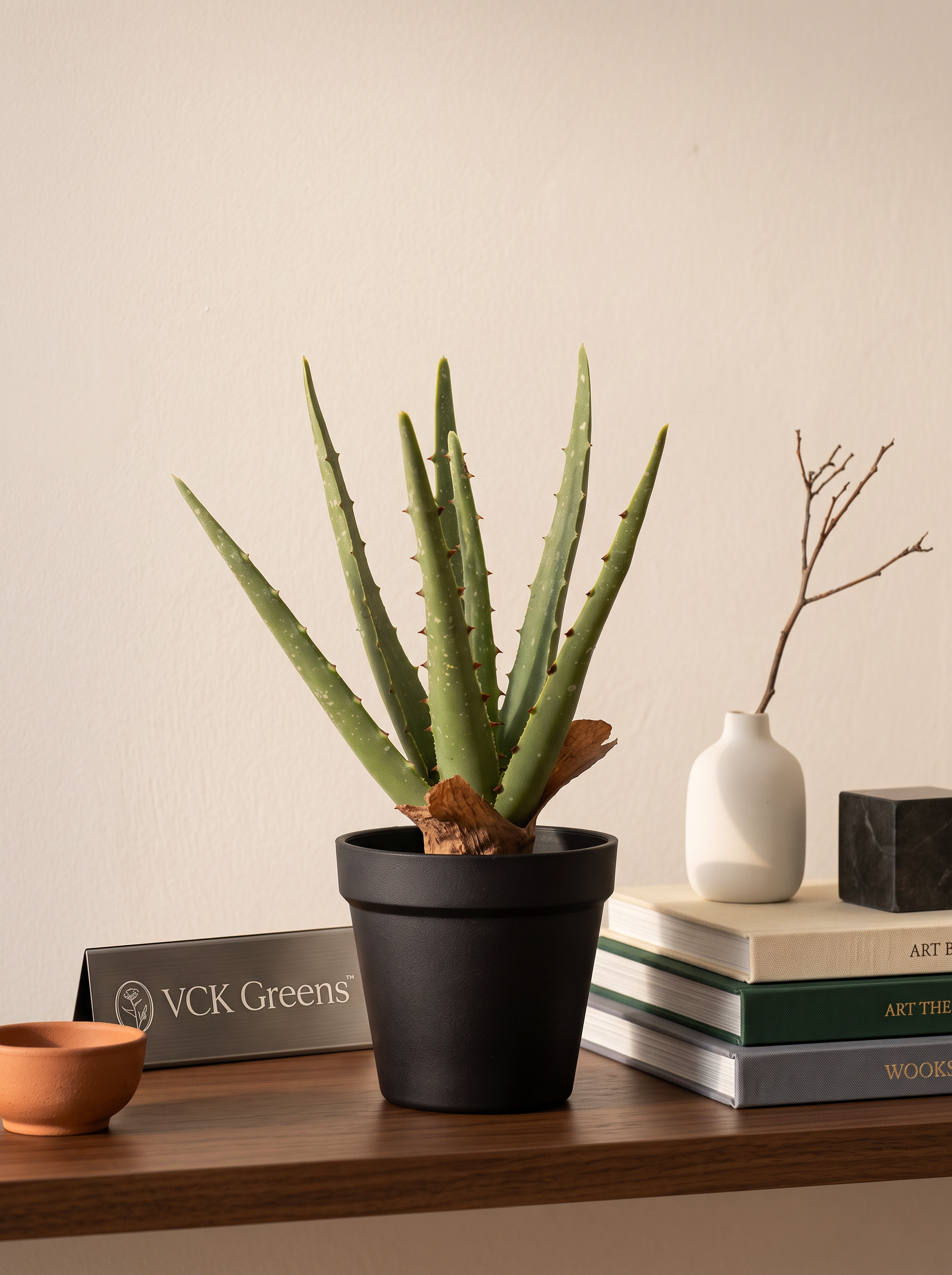 Artificial Aloe Vera Tabletop Planter