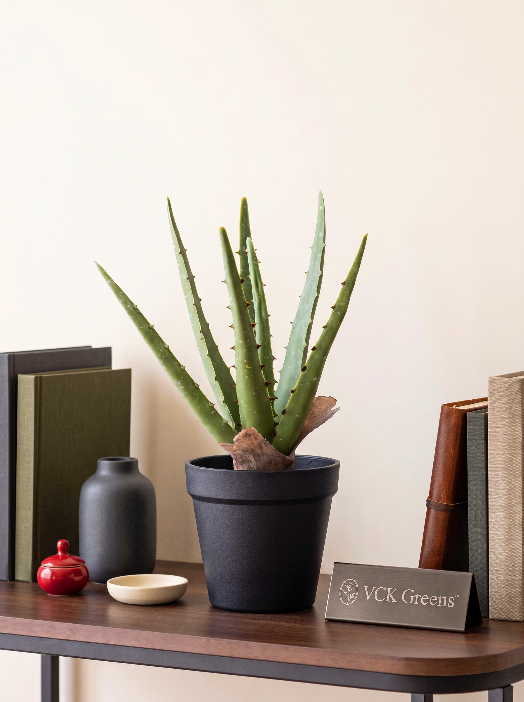 Artificial Aloe Vera Tabletop Planter