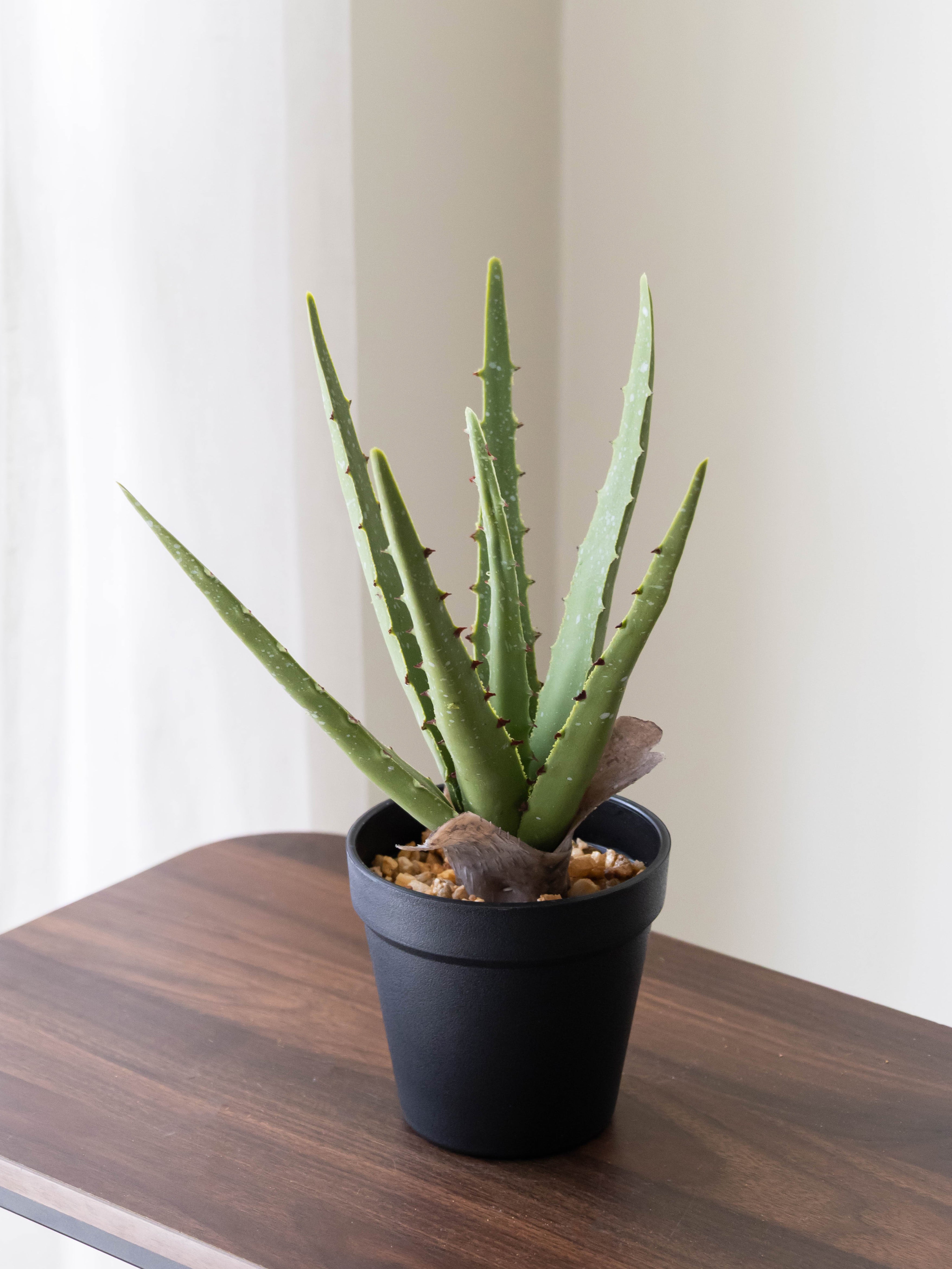 Artificial Aloe Vera Tabletop Planter