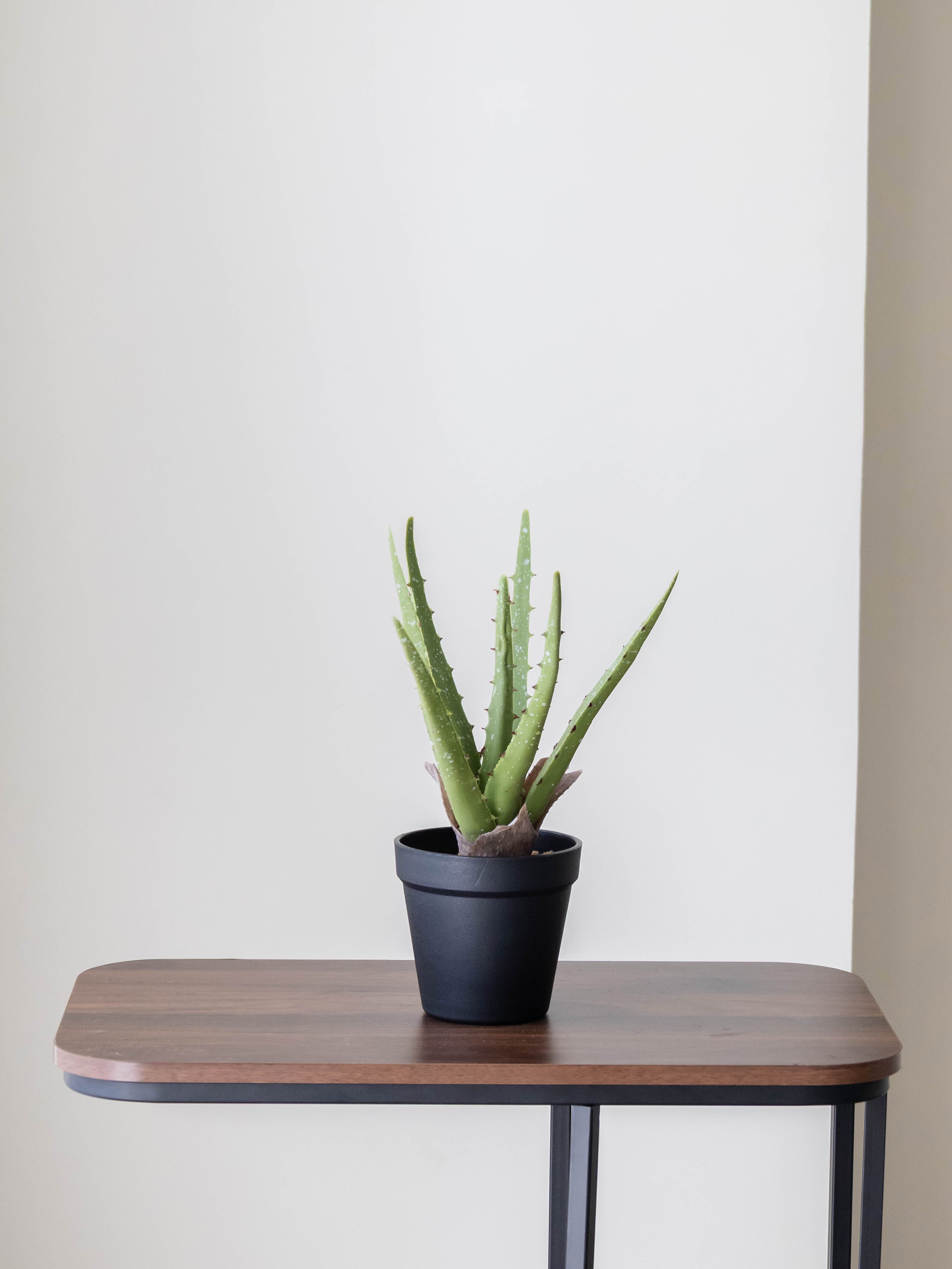 Artificial Aloe Vera Tabletop Planter
