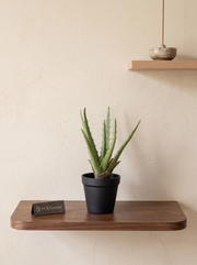 Artificial Aloe Vera Tabletop Planter