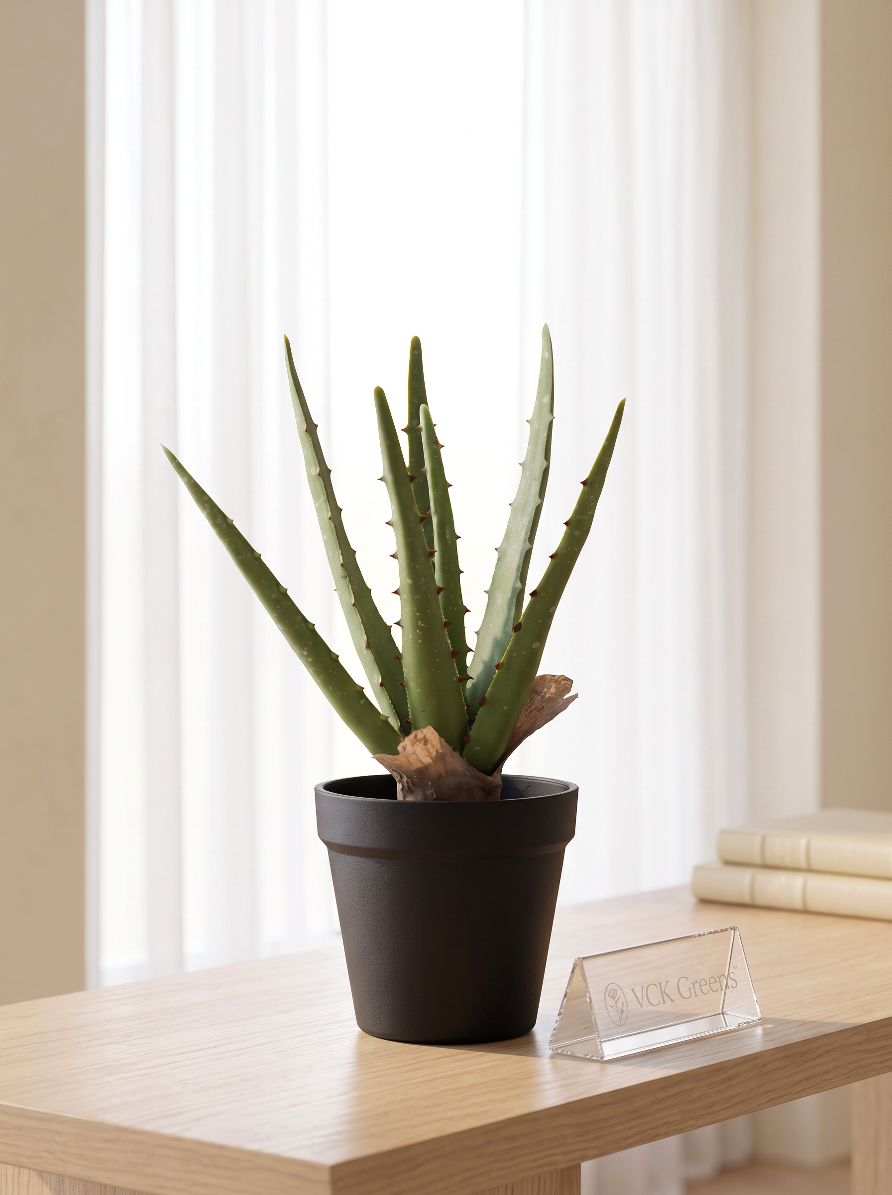 Artificial Aloe Vera Tabletop Planter