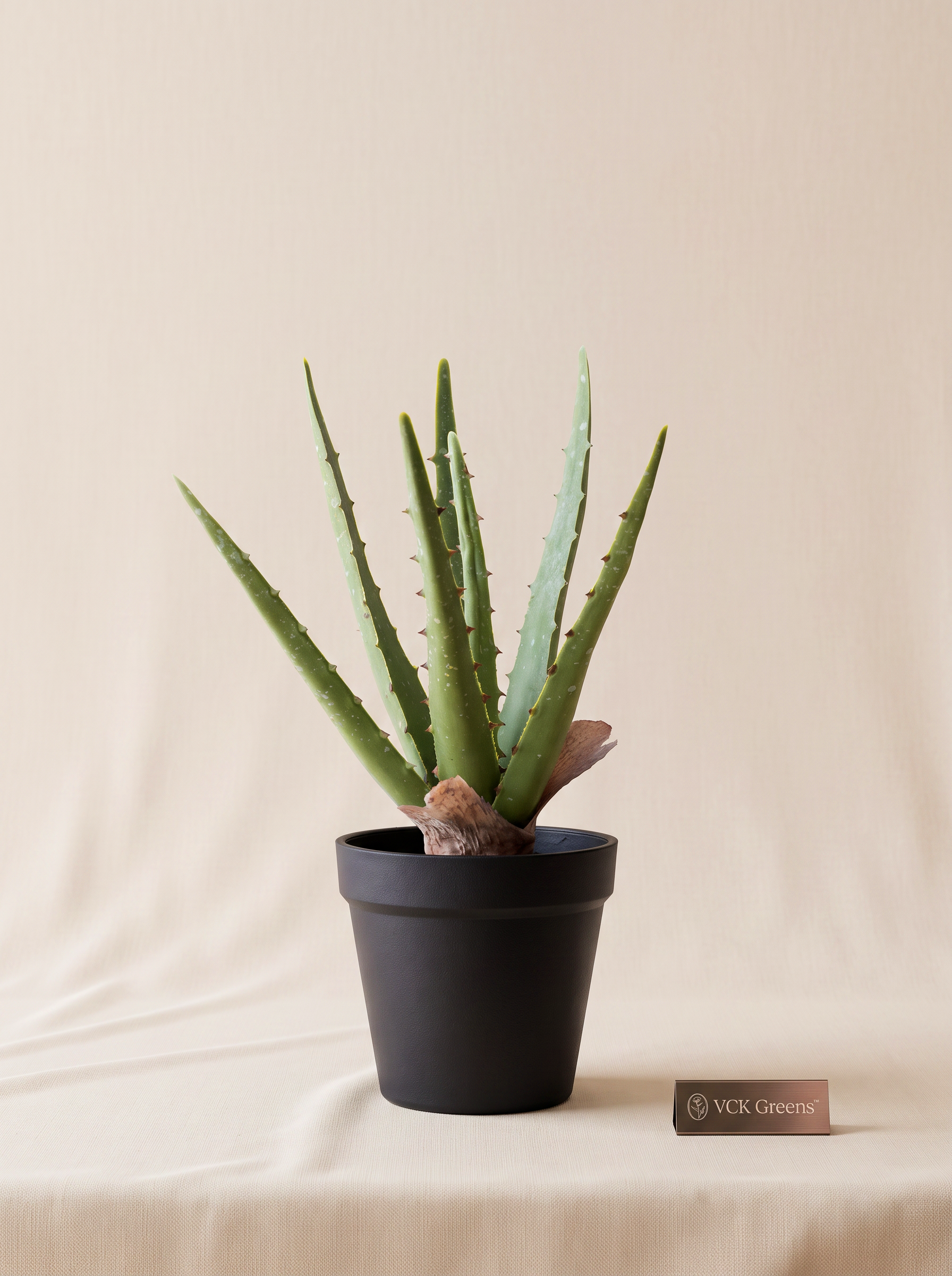 Artificial Aloe Vera Tabletop Planter