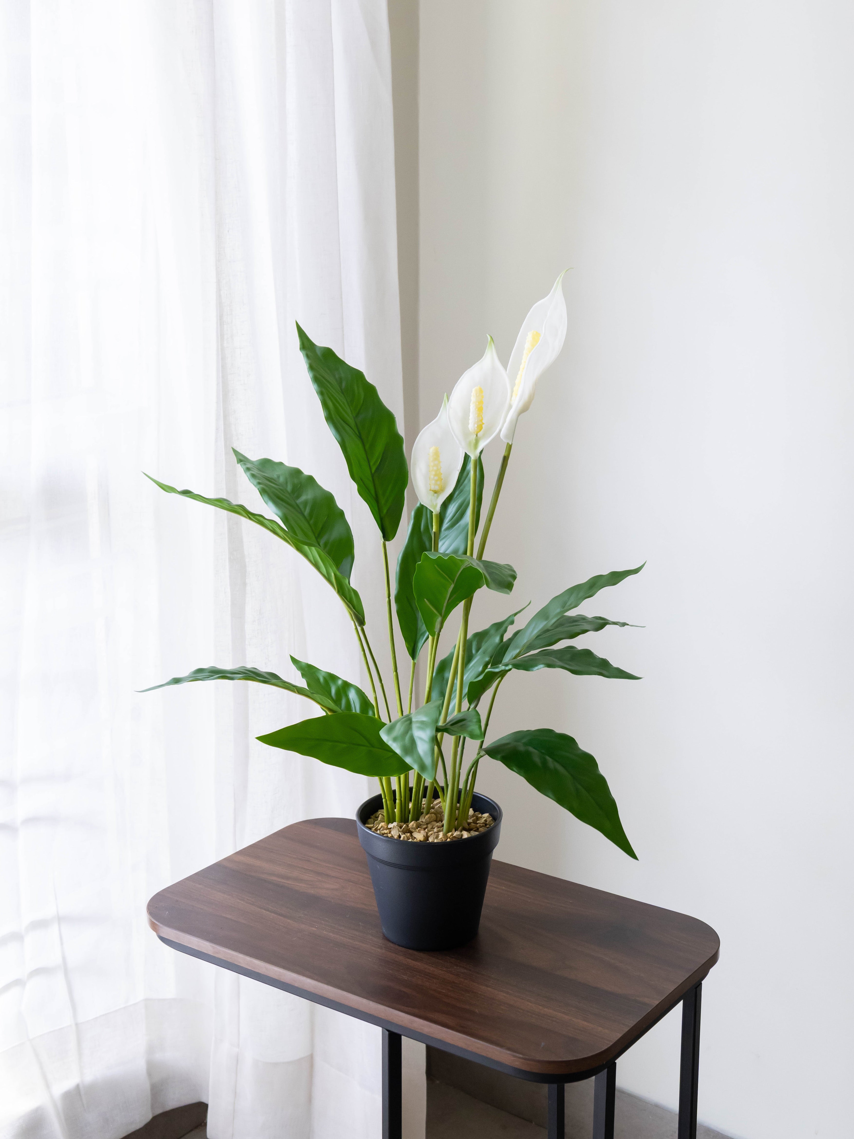 Artificial Peace Lily Accent Planter 2ft