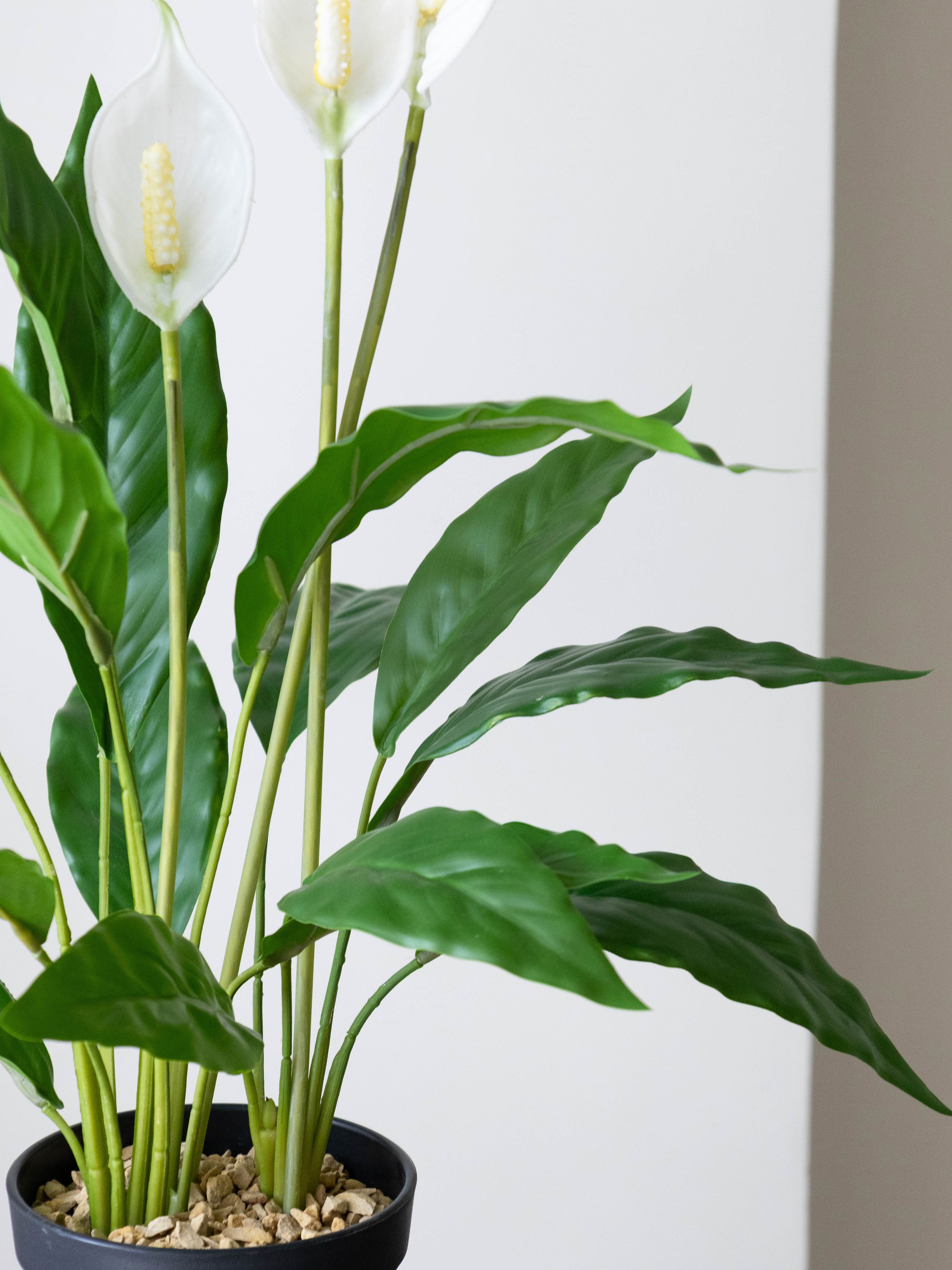 Artificial Peace Lily Accent Planter 2ft