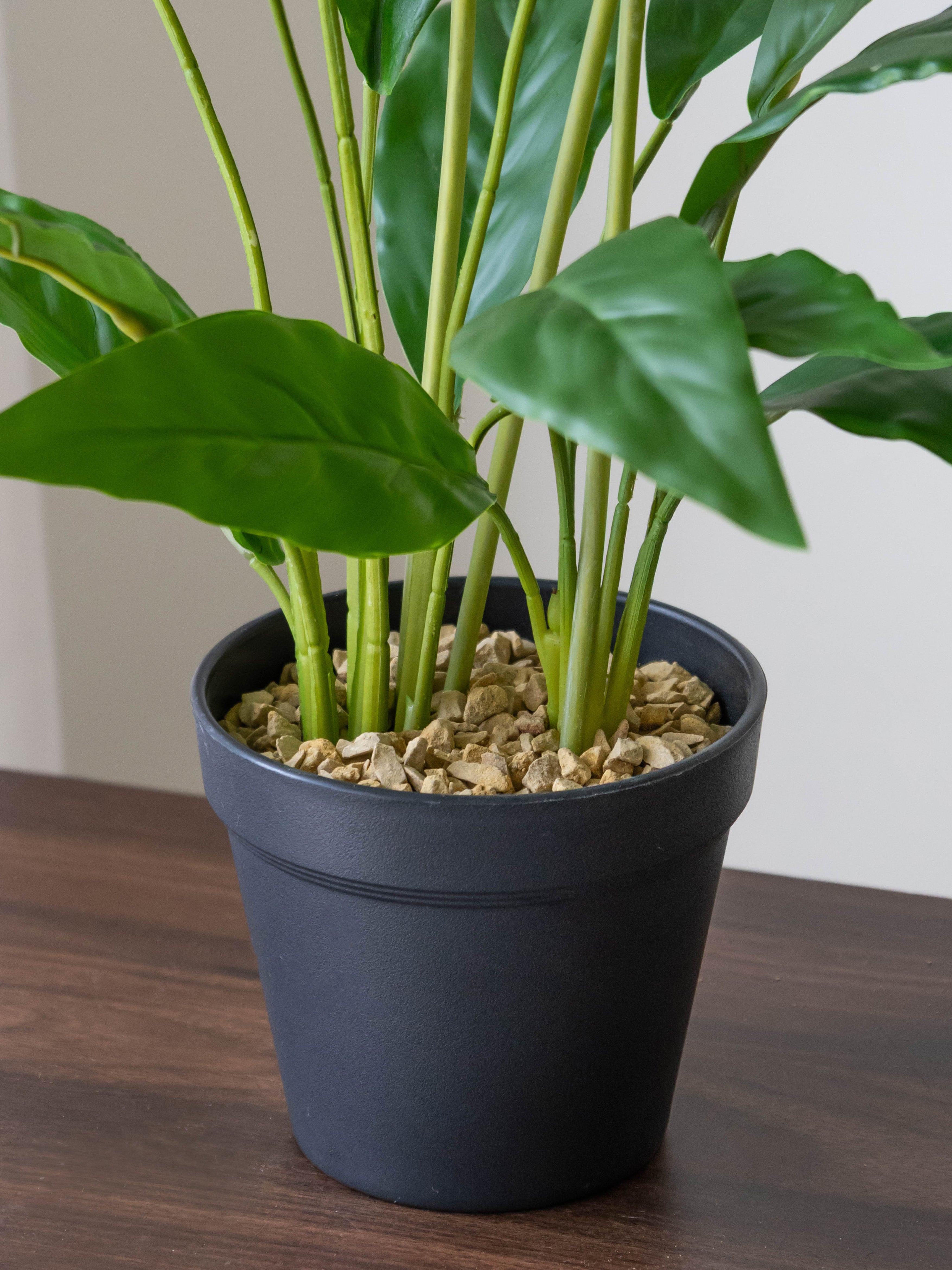 Artificial Peace Lily Accent Planter 2ft