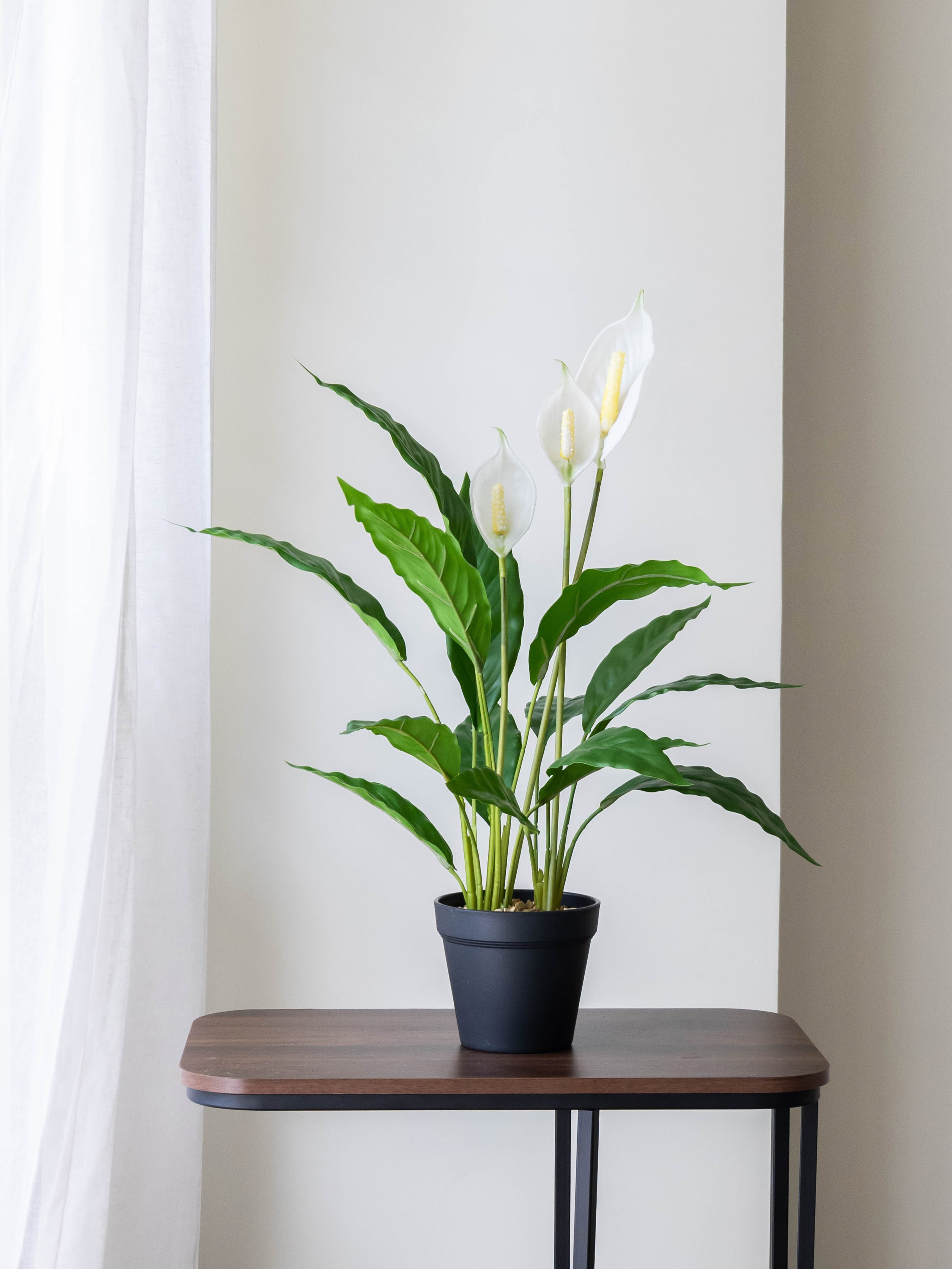 Artificial Peace Lily Accent Planter 2ft