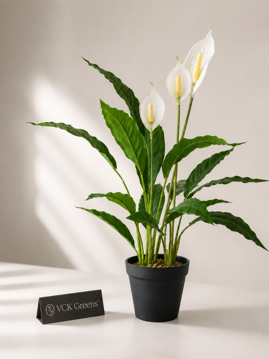 Artificial Peace Lily Accent Planter 2ft
