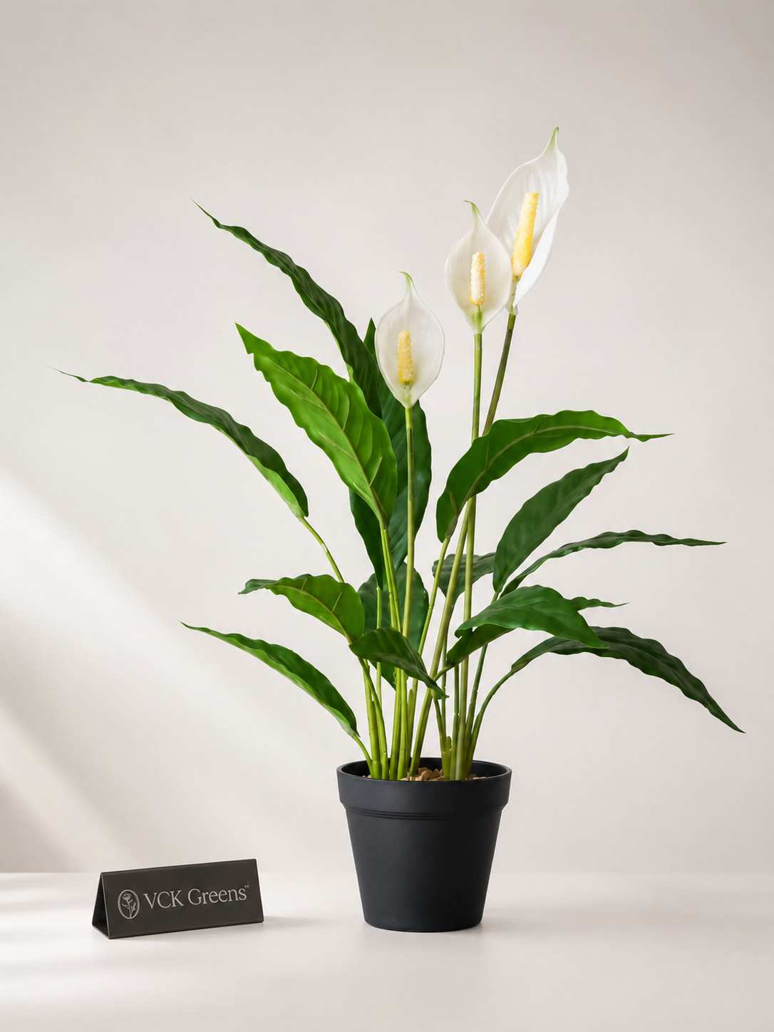 Artificial Peace Lily Accent Planter 2ft