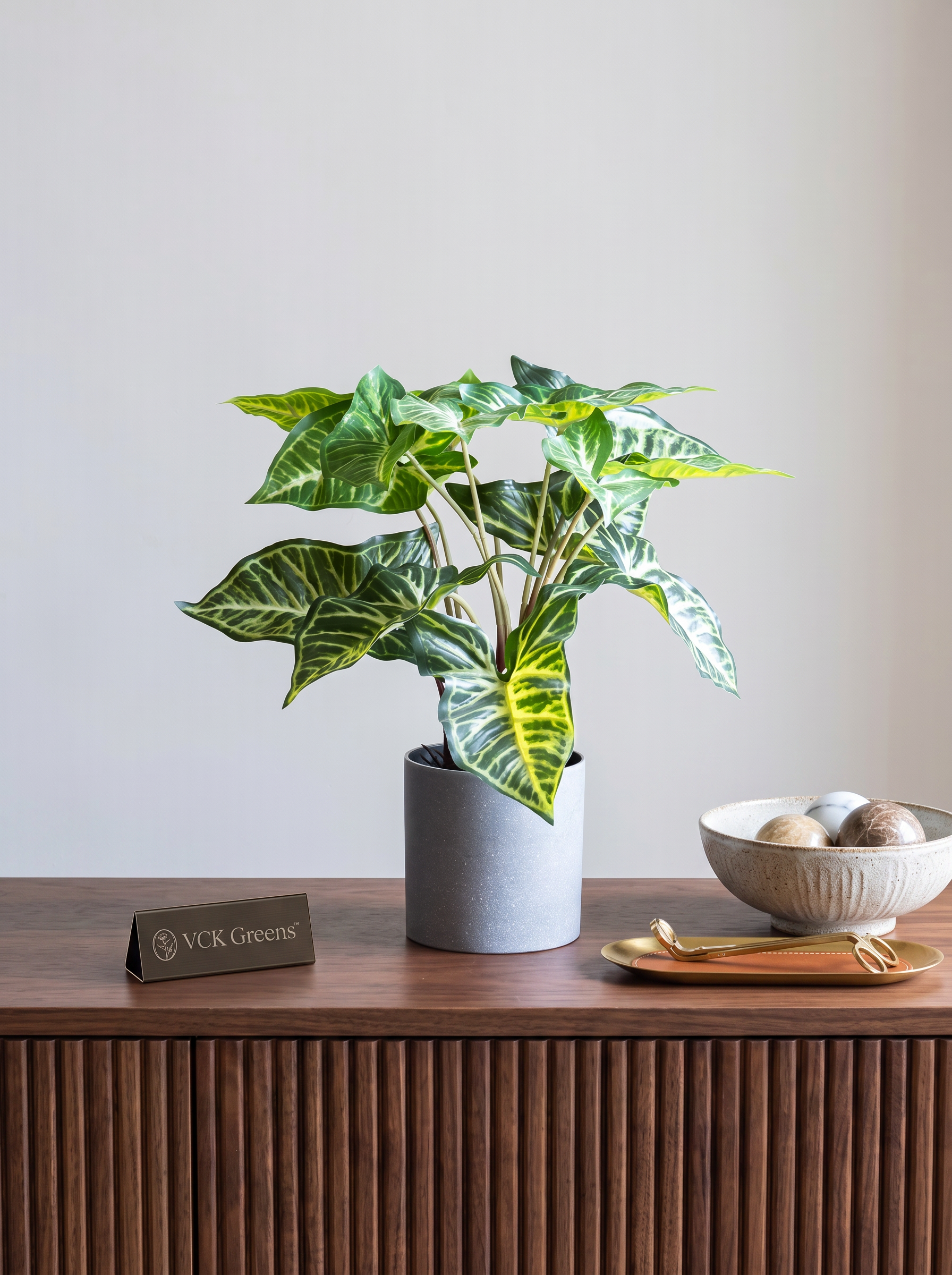 Artificial Syngonium Plant in Pot