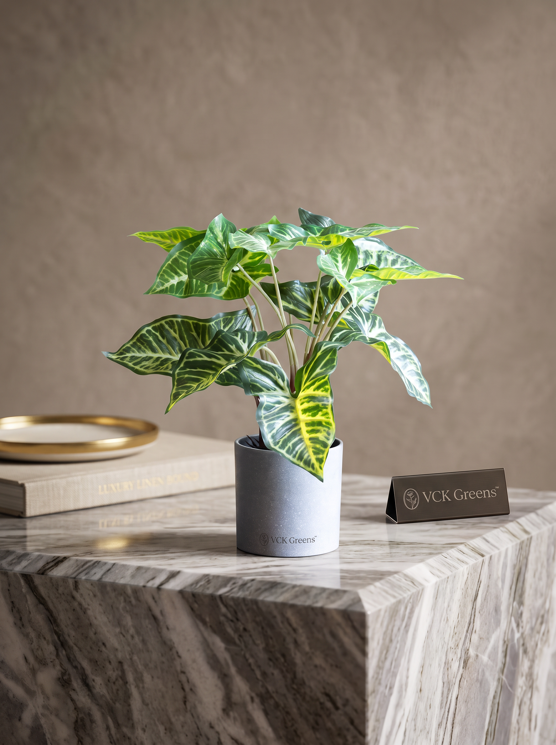 Artificial Syngonium Plant in Pot