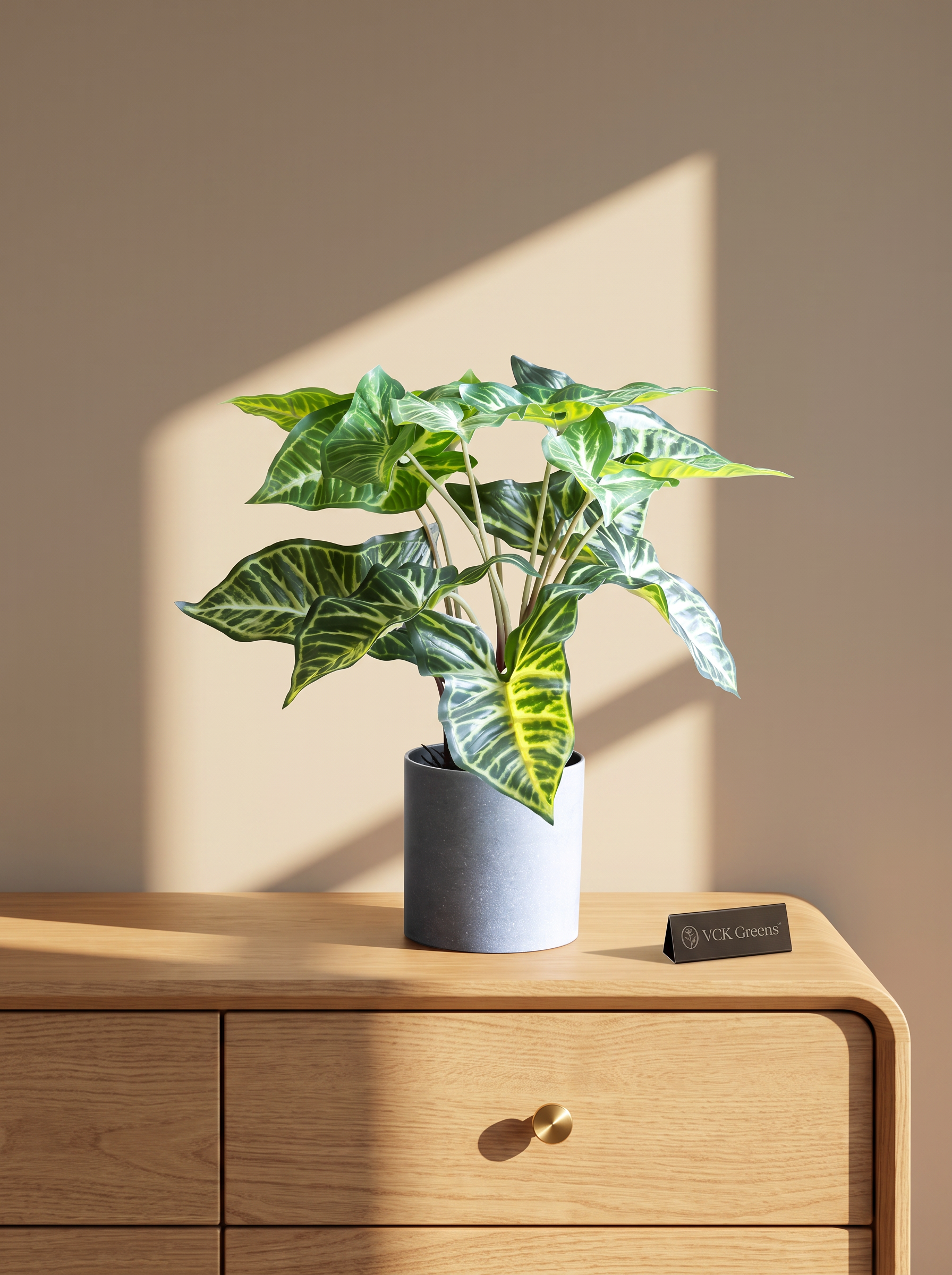 Artificial Syngonium Plant in Pot