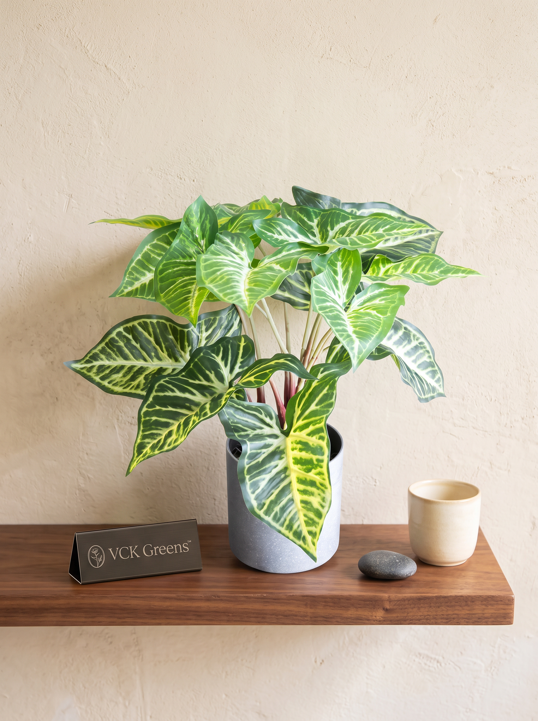 Artificial Syngonium Plant in Pot