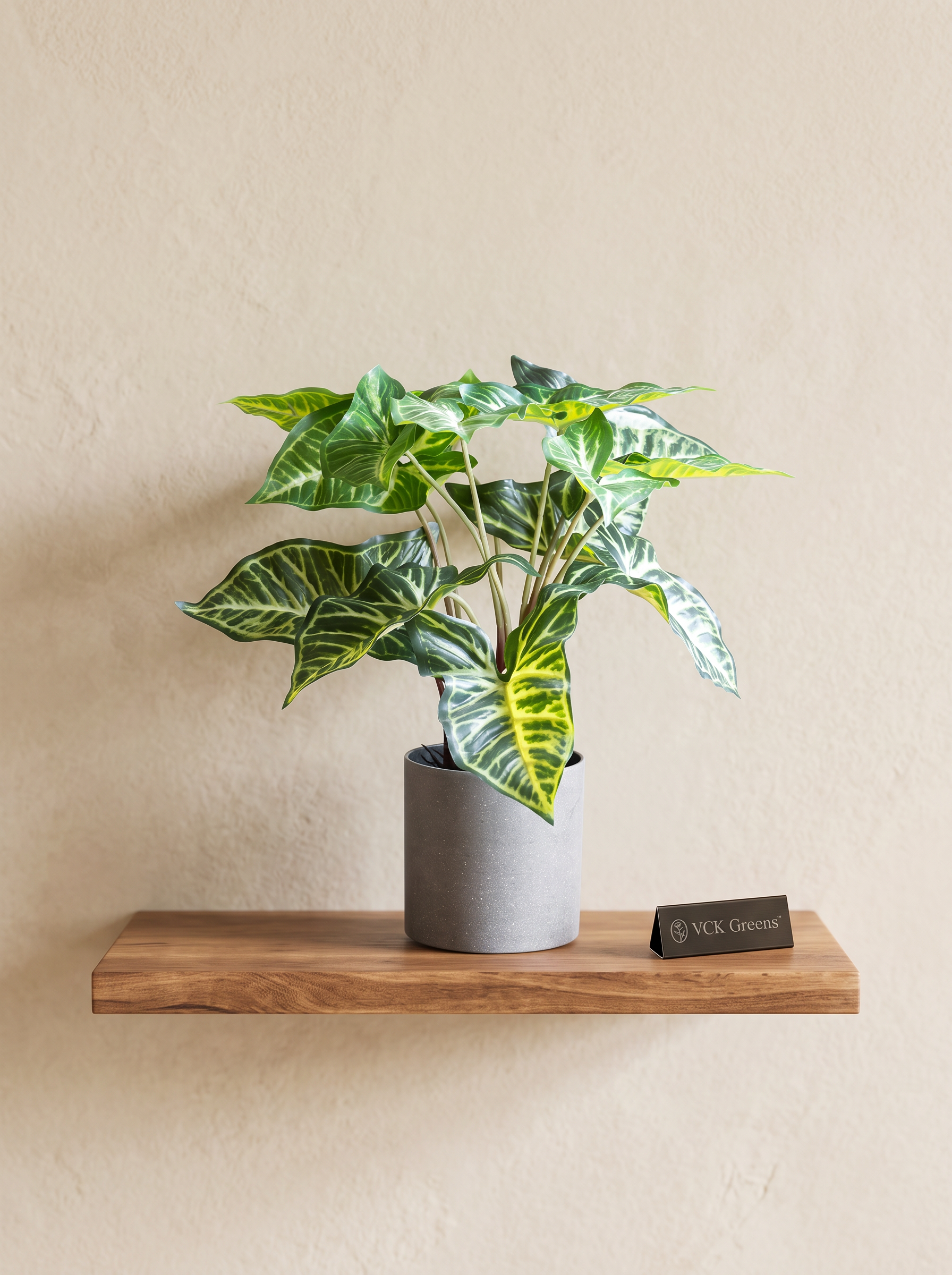 Artificial Syngonium Plant in Pot