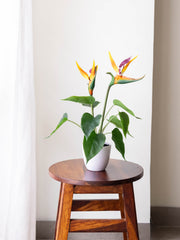 Artificial Bird of Paradise Tabletop Plant 43cm