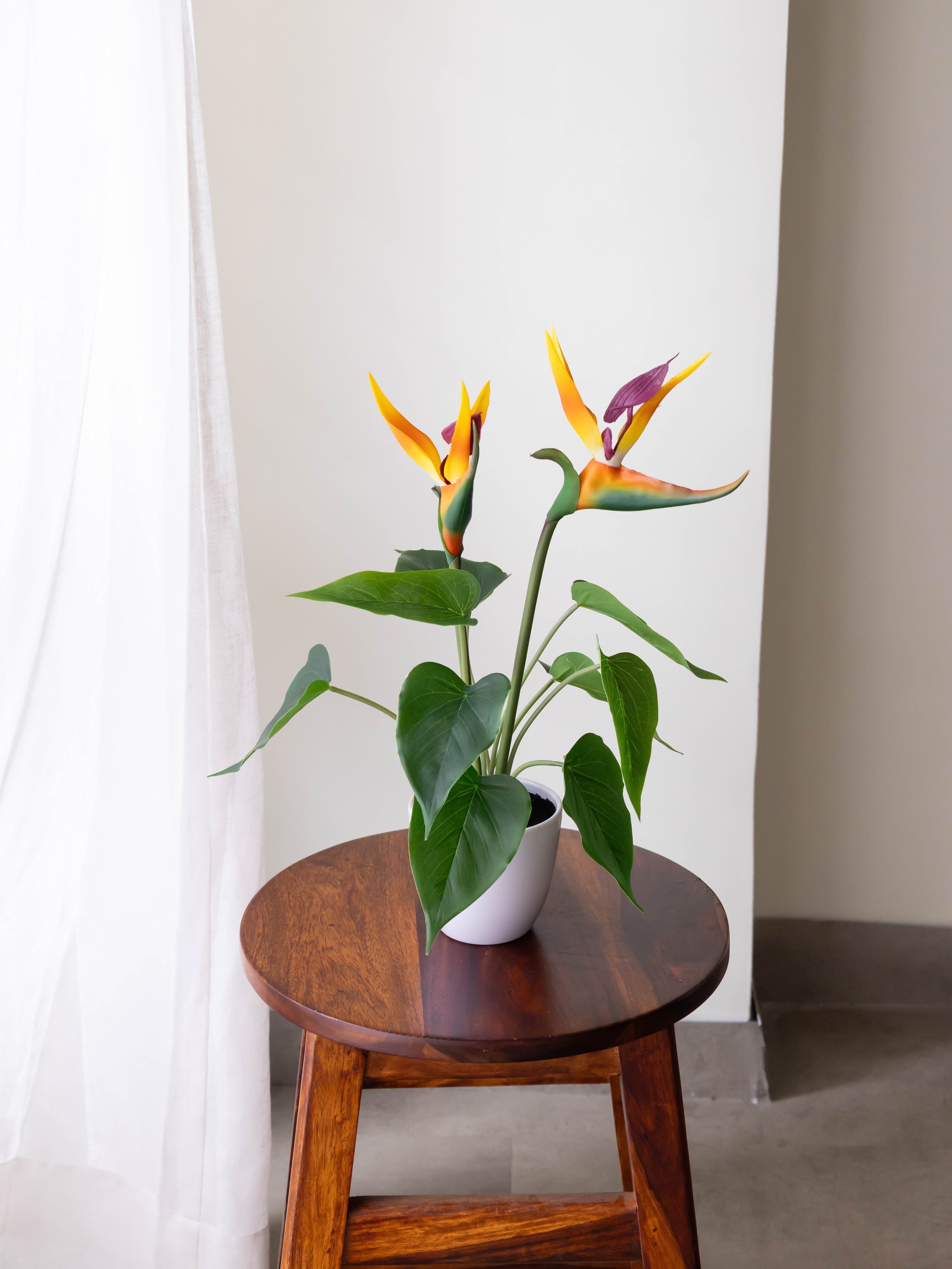 Artificial Bird of Paradise Tabletop Plant 43cm