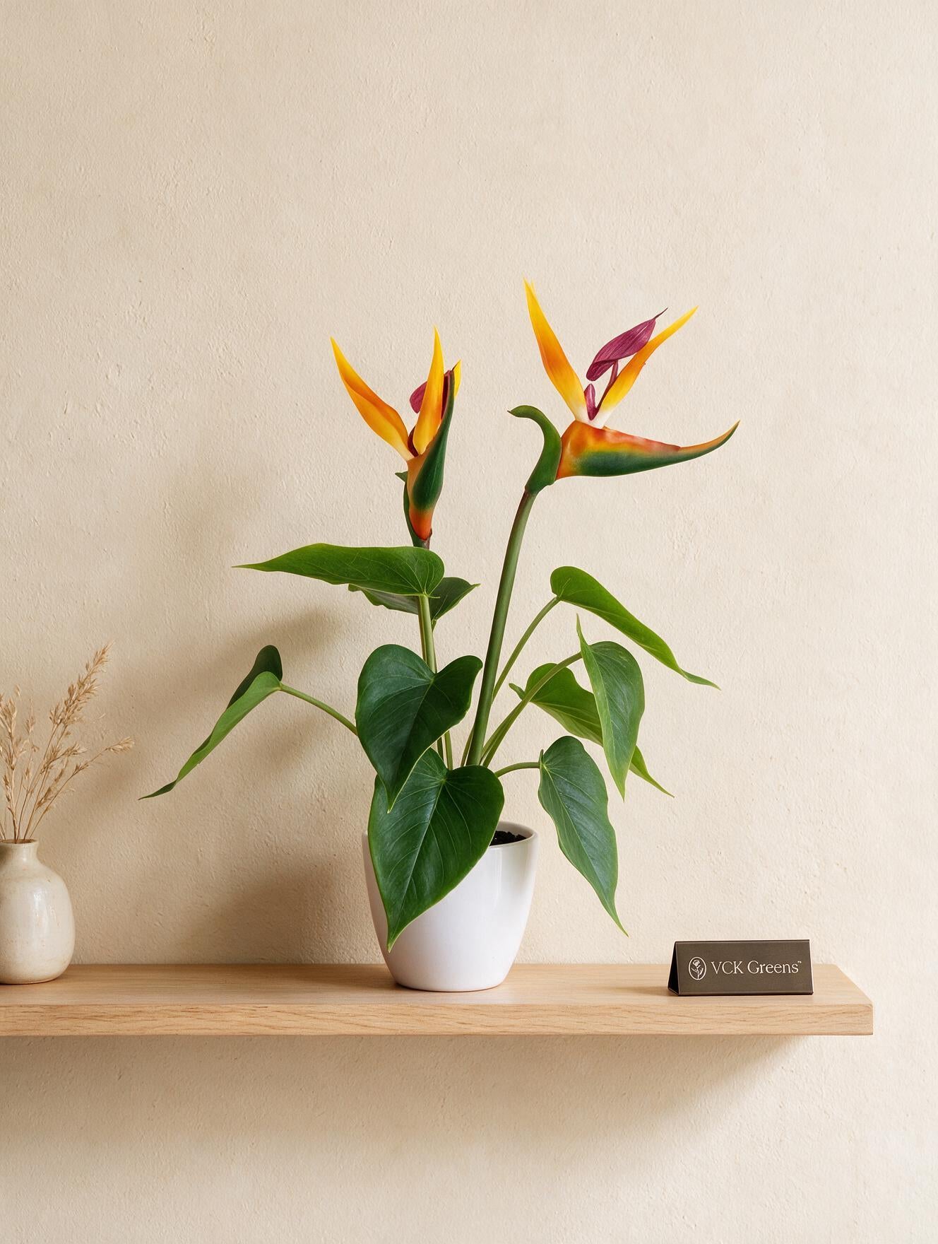 Artificial Bird of Paradise Tabletop Plant 43cm