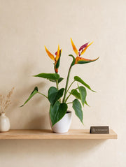 Artificial Bird of Paradise Tabletop Plant 43cm