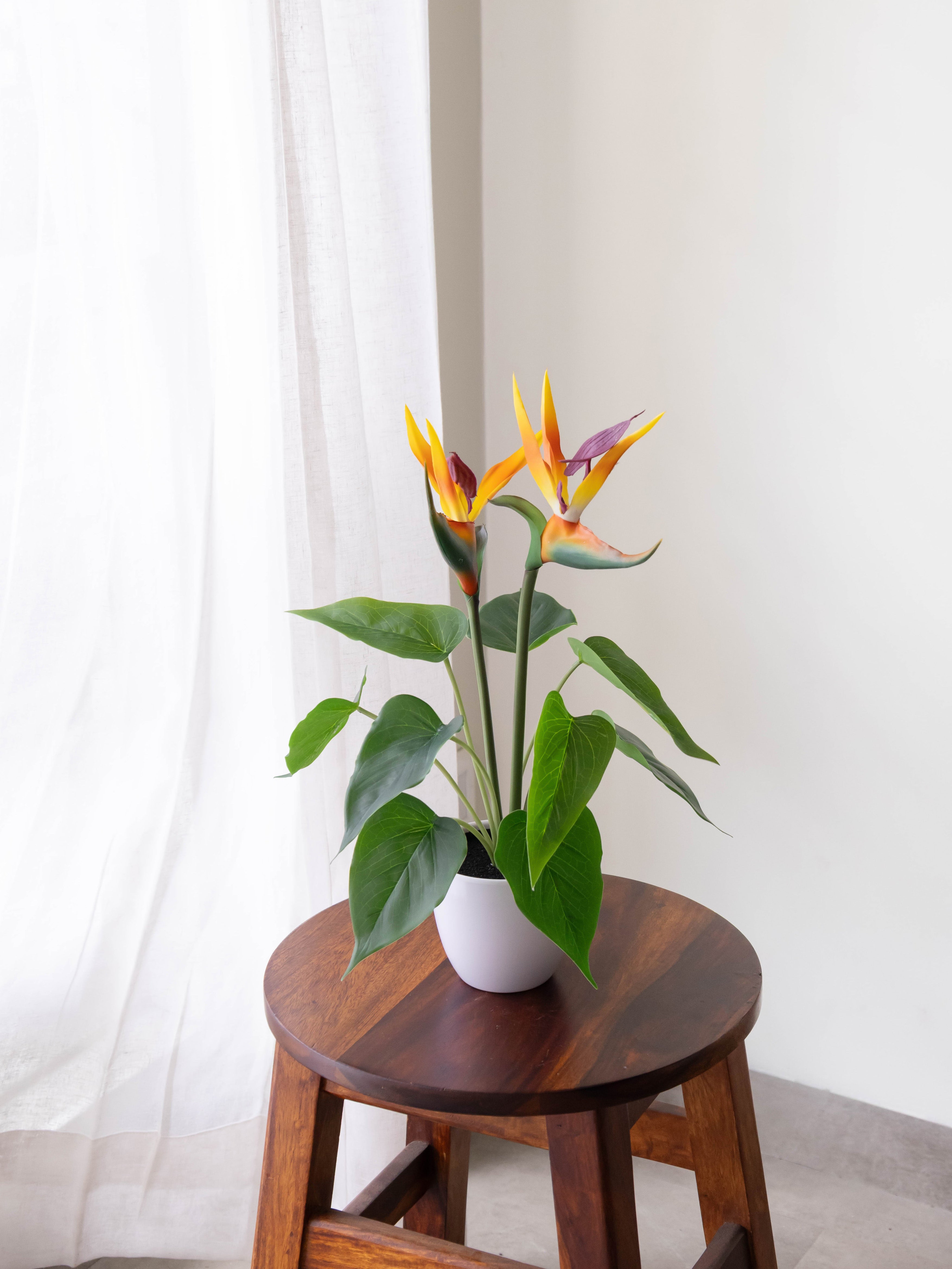 Artificial Bird of Paradise Tabletop Plant 43cm
