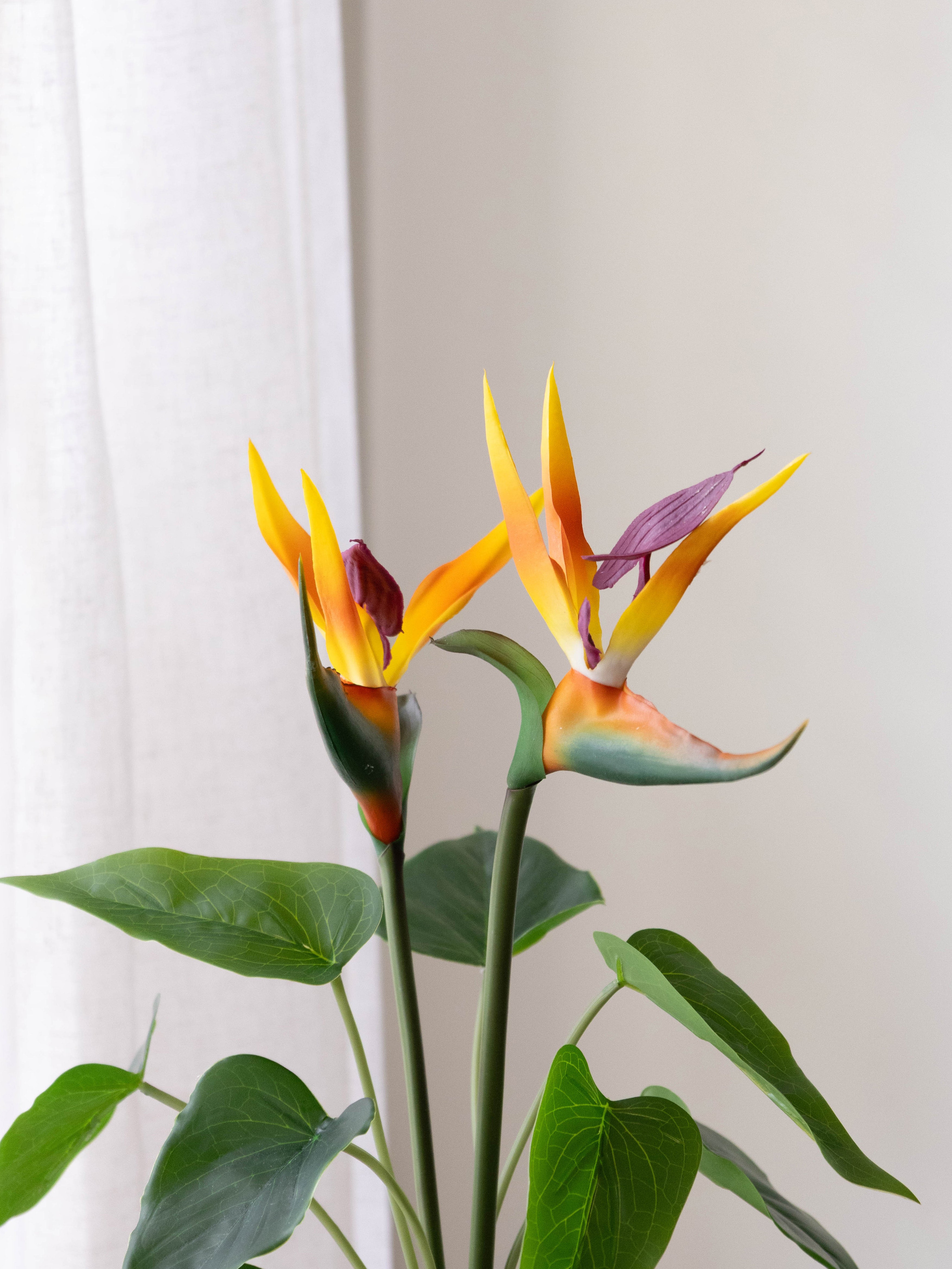 Artificial Bird of Paradise Tabletop Plant 43cm