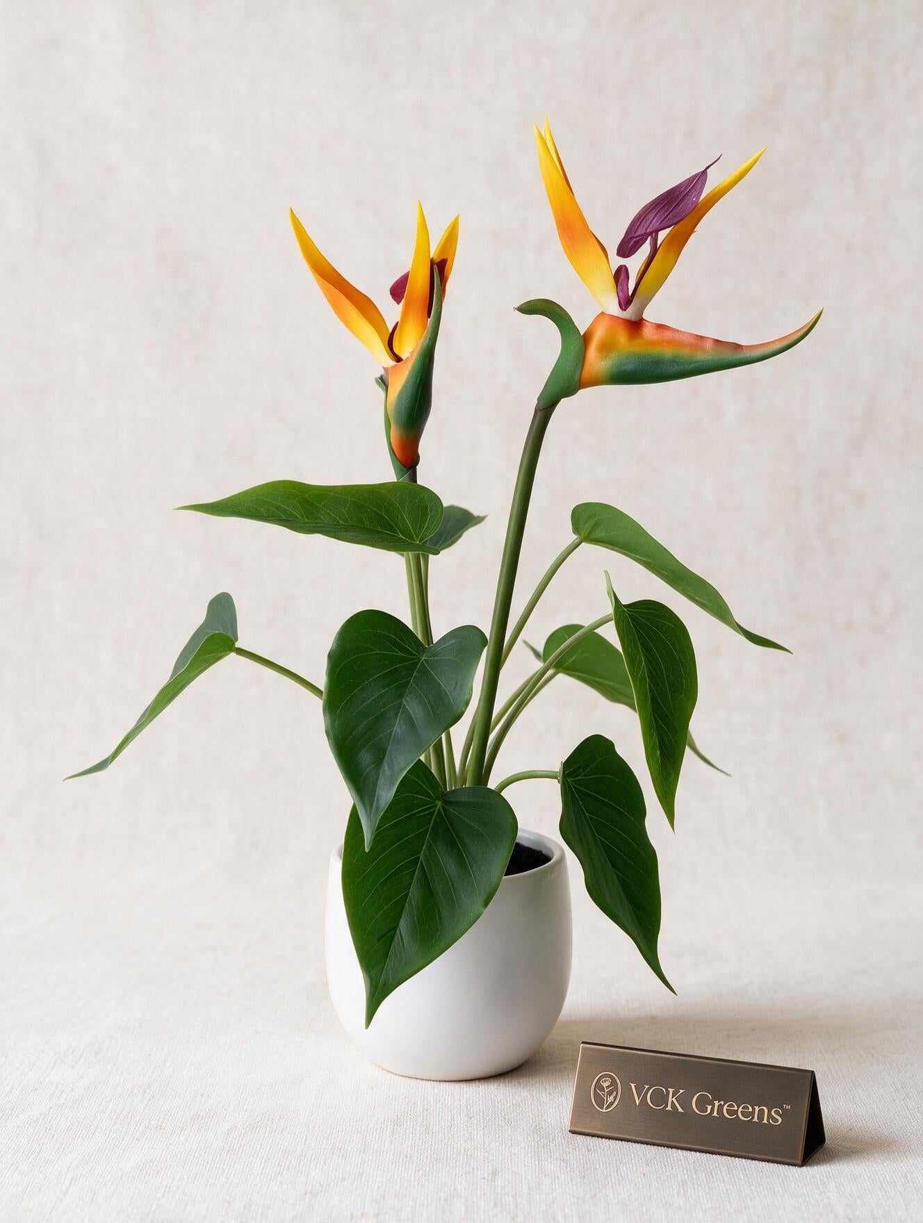 Artificial Bird of Paradise Tabletop Plant 43cm