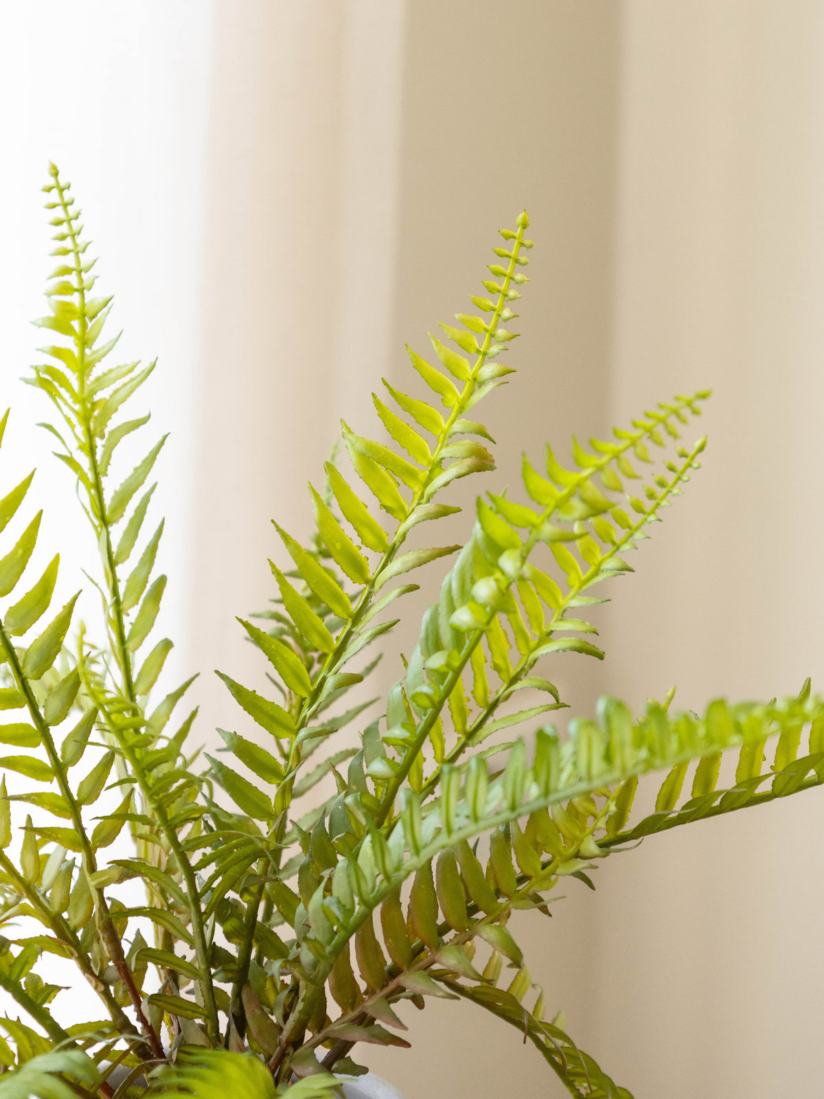 Artificial Meadow Fern Tabletop 36cm