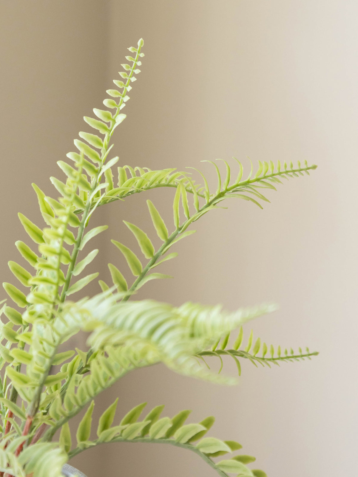 Artificial Meadow Fern Tabletop 36cm
