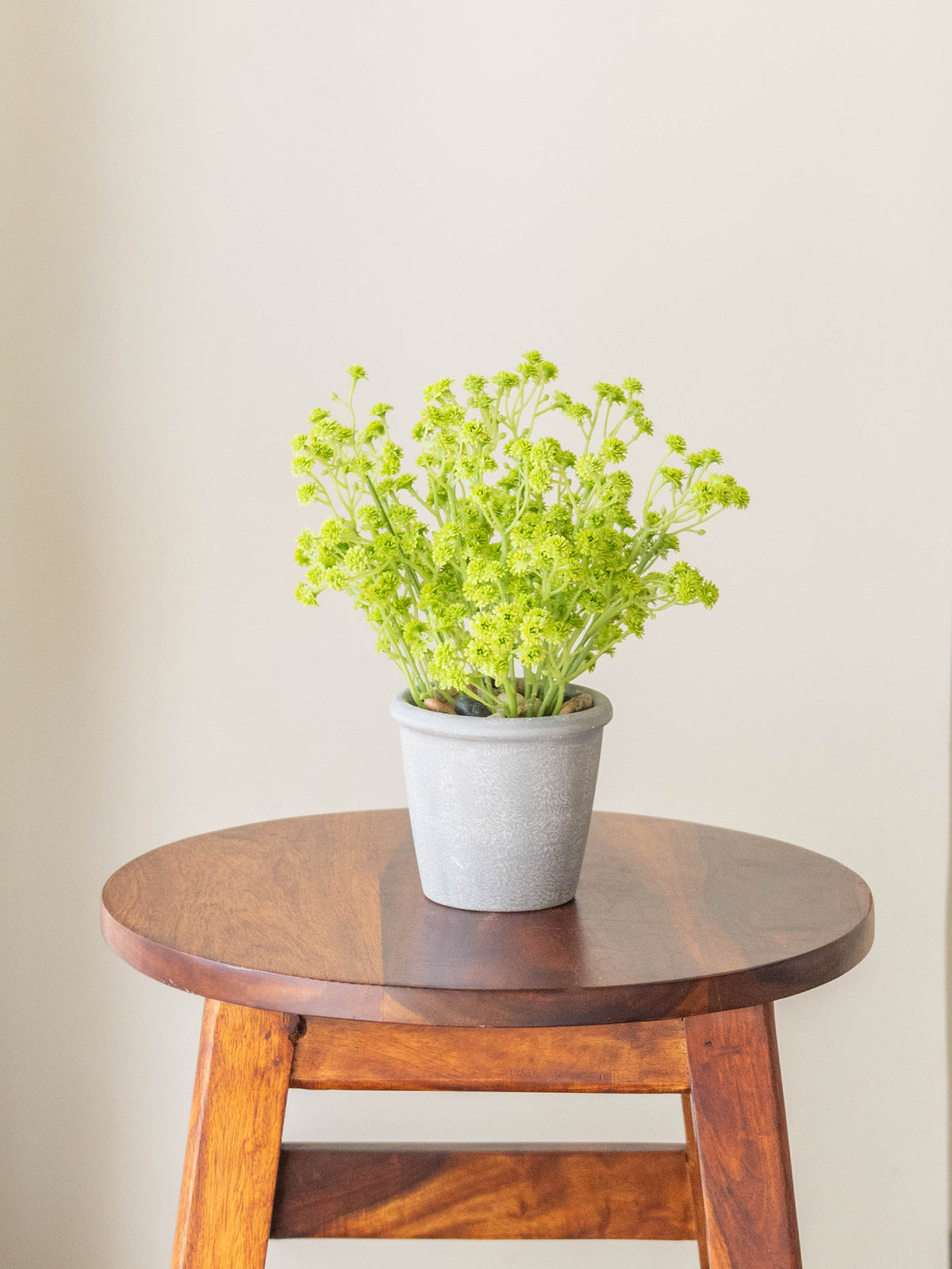 Artificial Green Baby’s Breath Tabletop