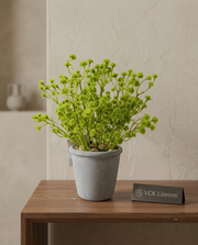 Artificial Green Baby’s Breath Tabletop