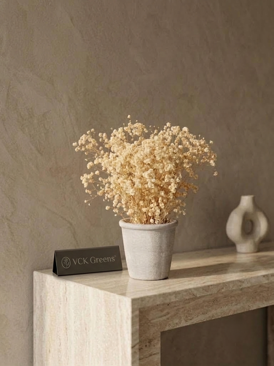 Preserved Baby’s Breath Table Top 24cm