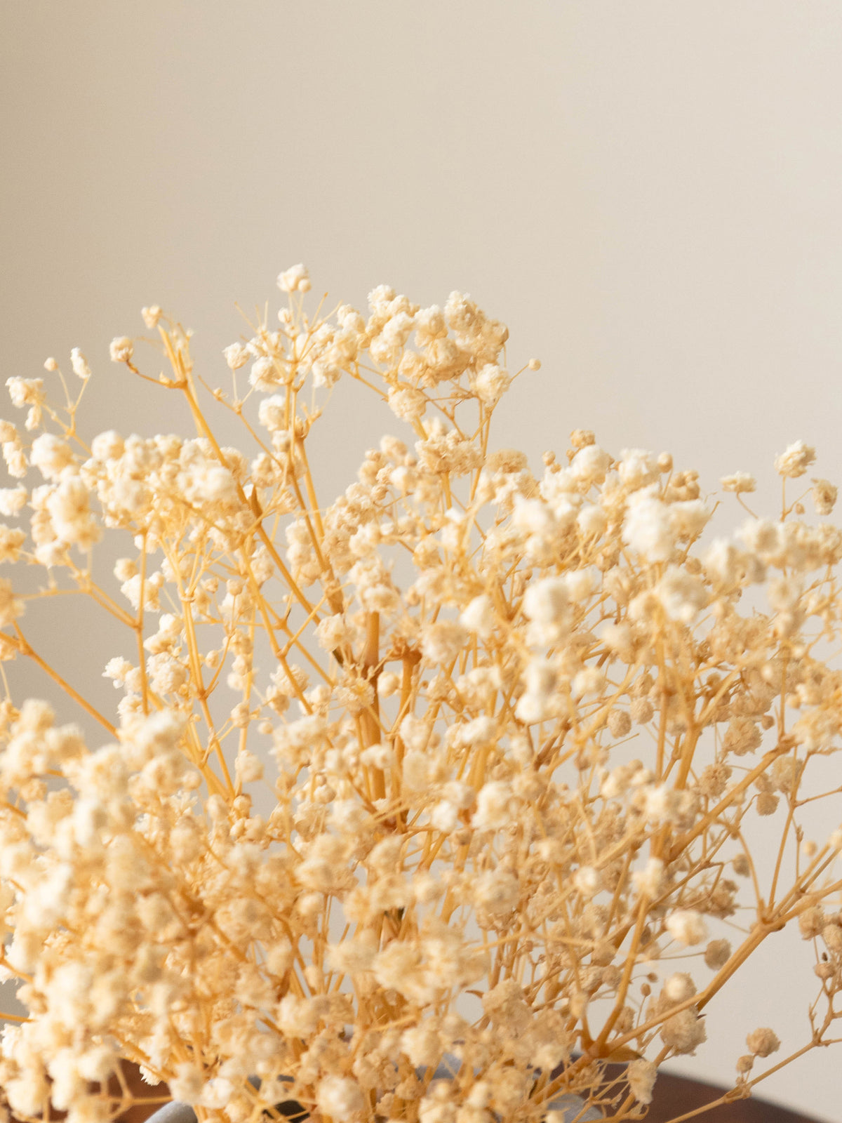 Preserved Baby’s Breath Table Top 24cm