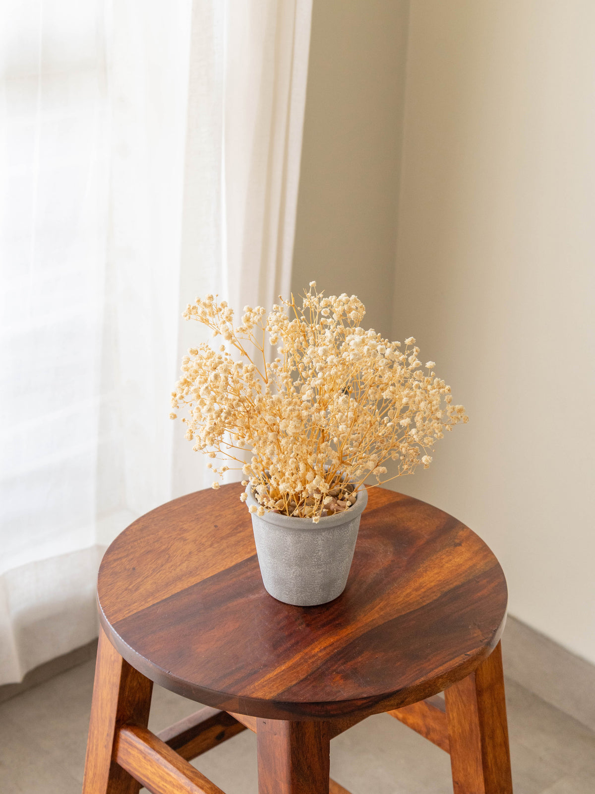 Preserved Baby’s Breath Table Top 24cm