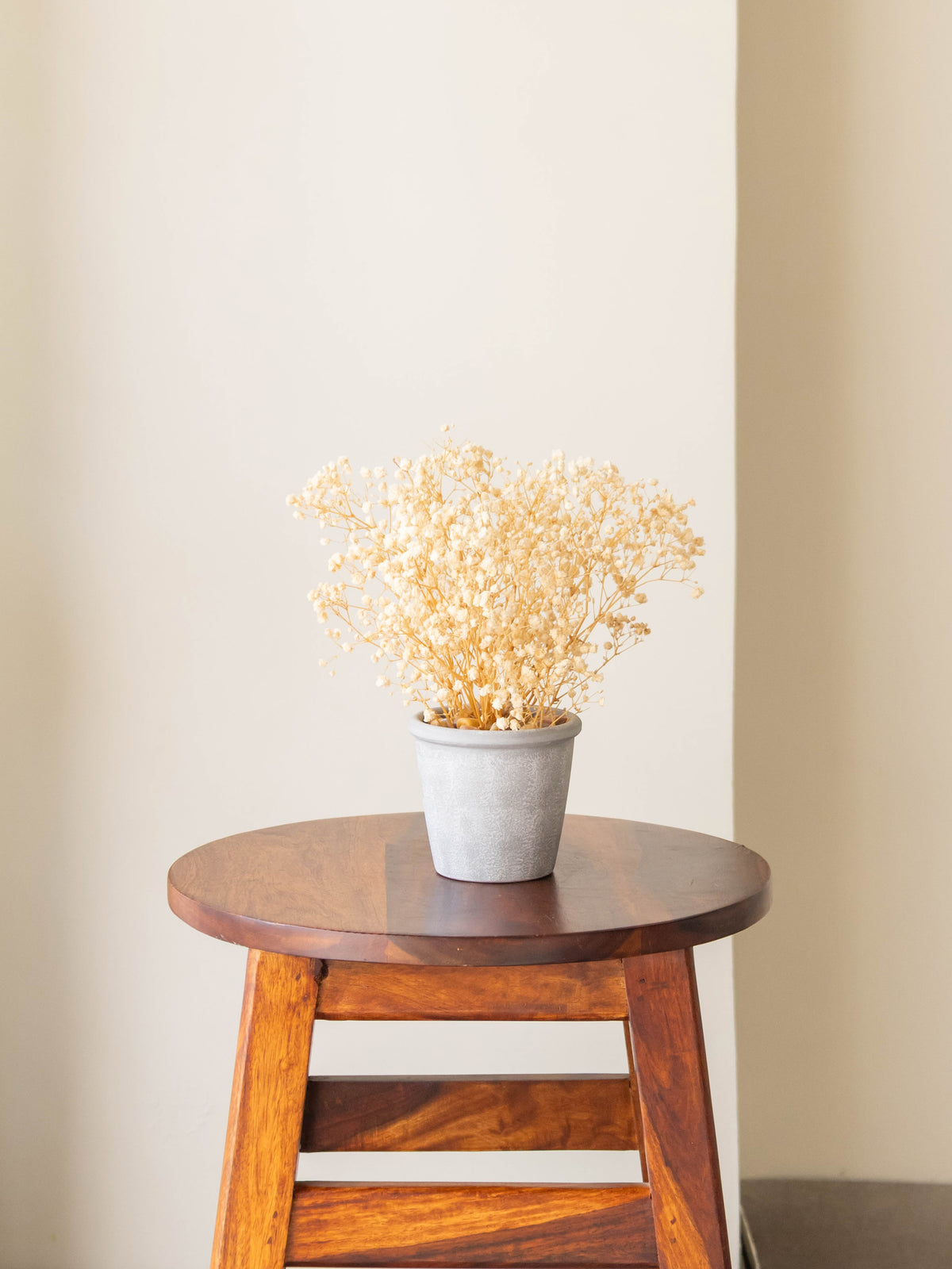 Preserved Baby’s Breath Table Top 24cm
