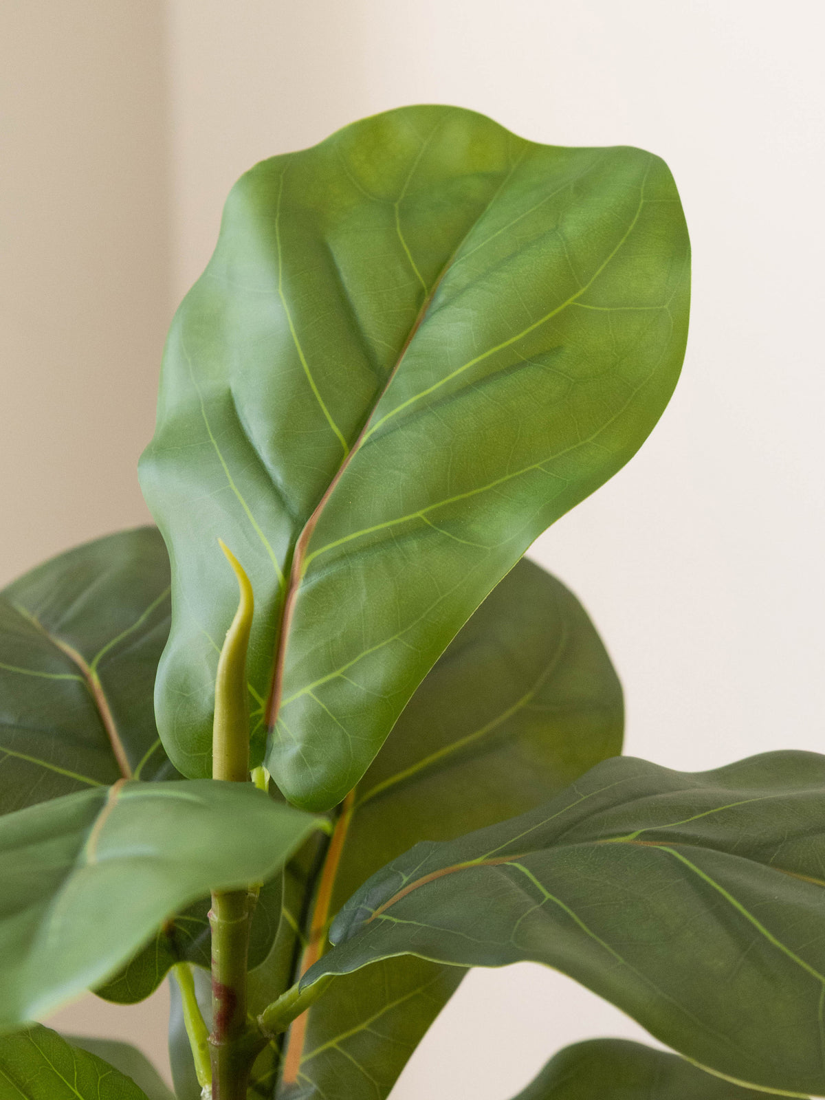 Artificial Fiddle Leaf Table Accent 1ft